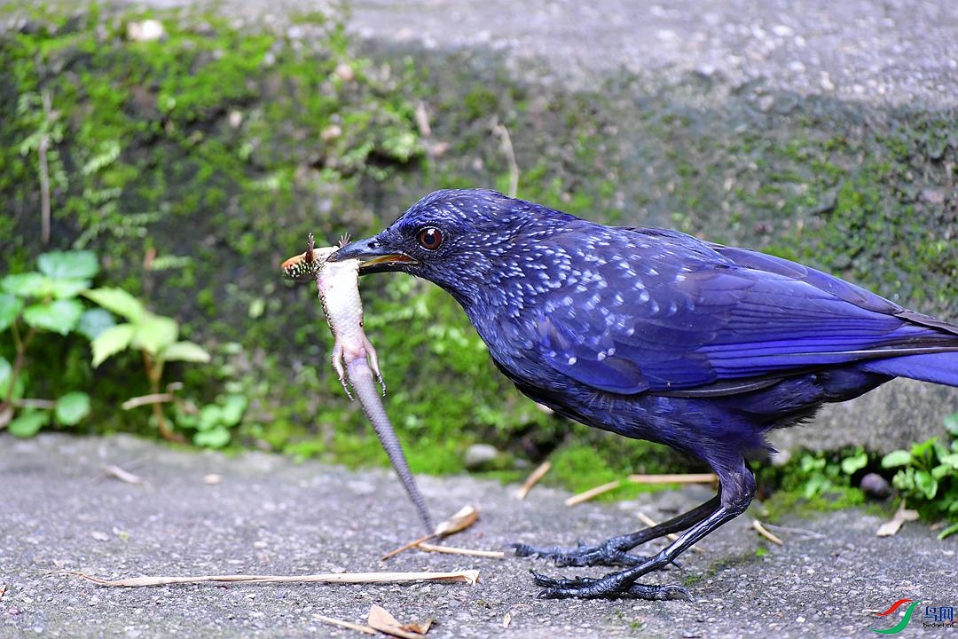 DSC_8420.JPG