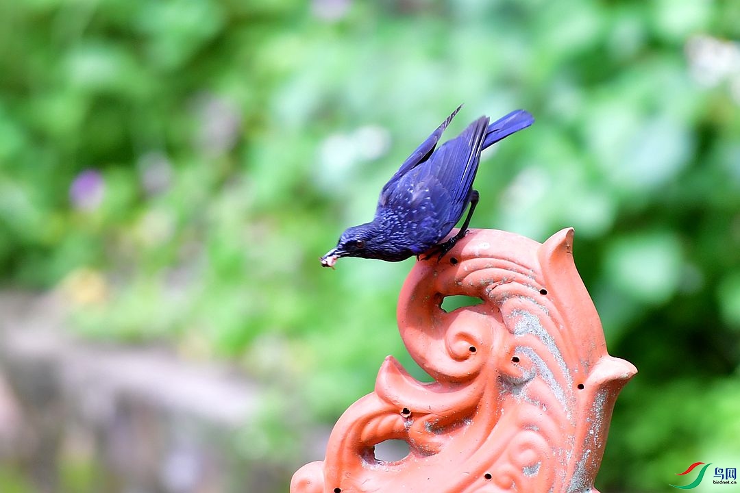 DSC_8359.JPG