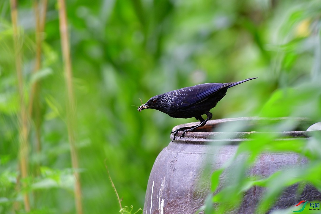 DSC_8394.JPG