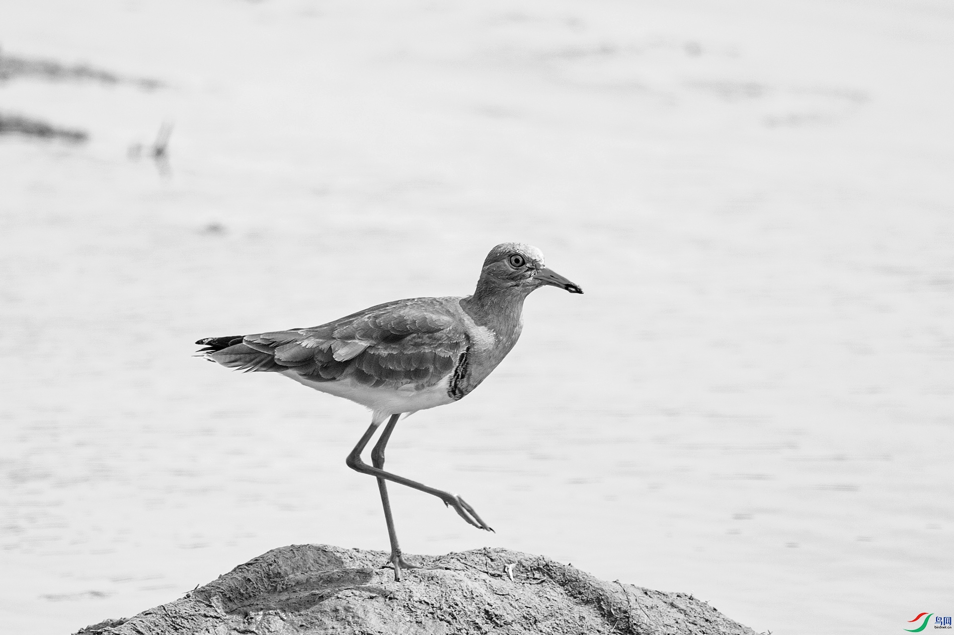 _DSC84970.jpg