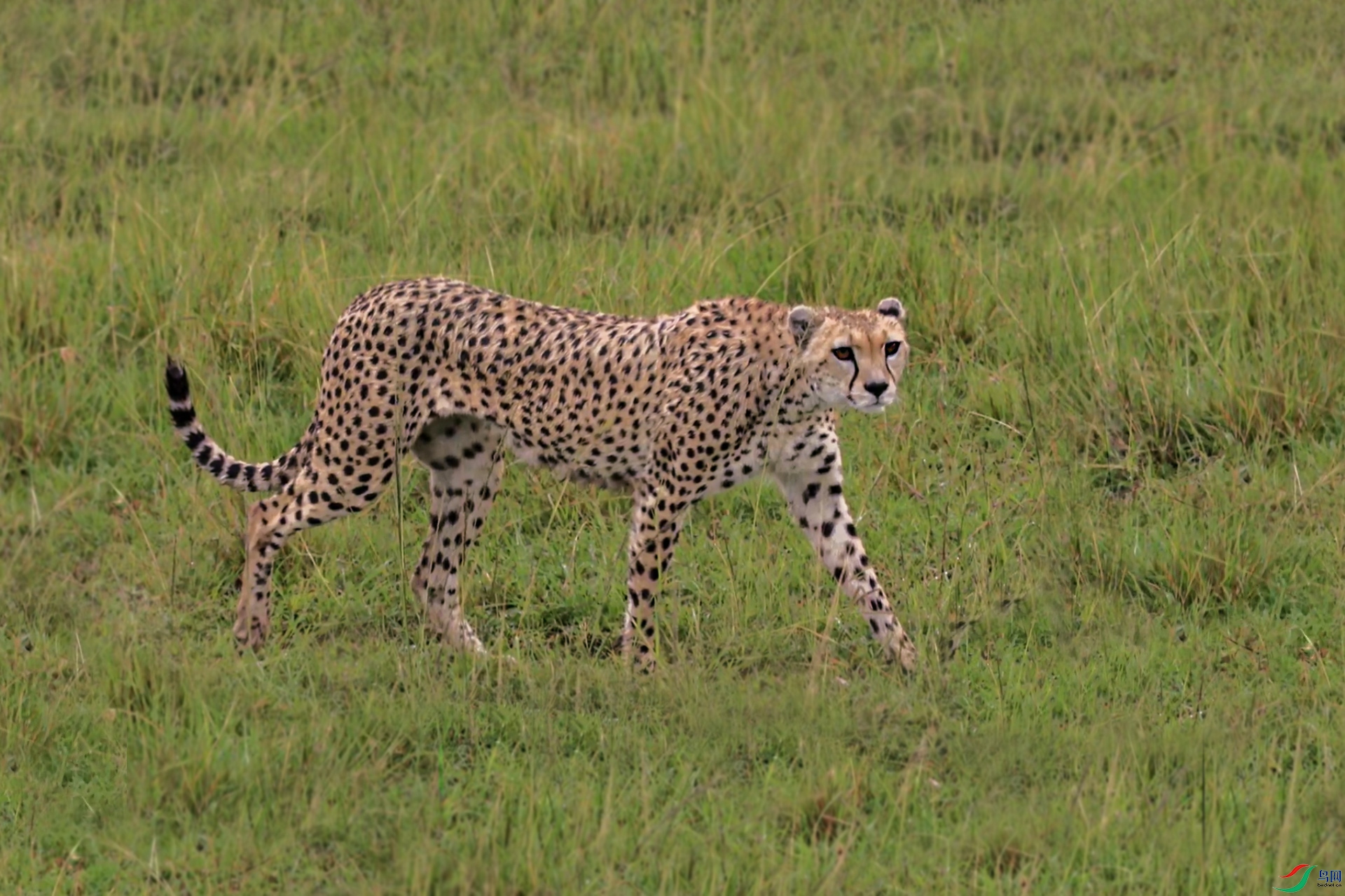 DSC_9112.jpg