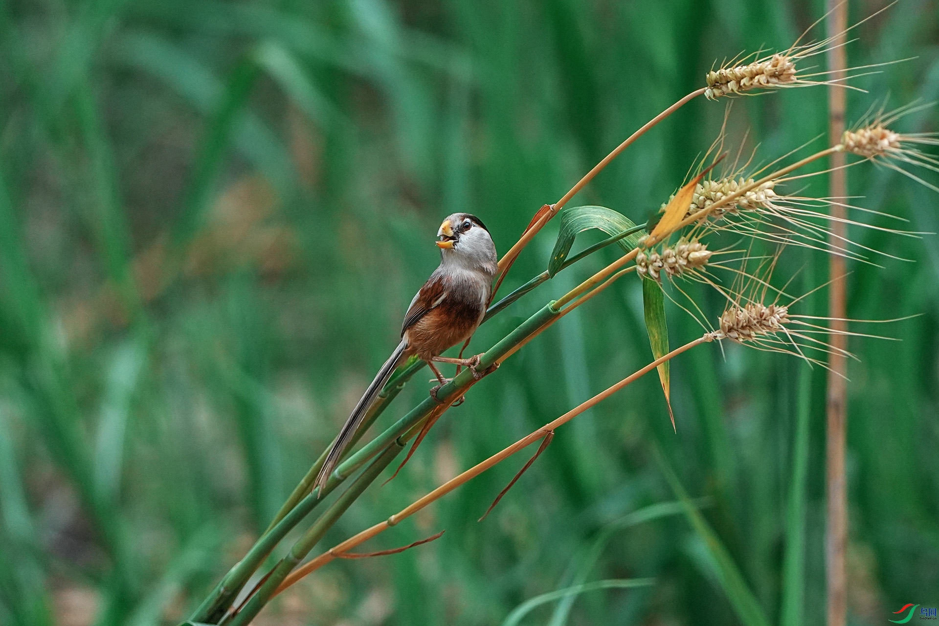 DSC07170-1.jpg