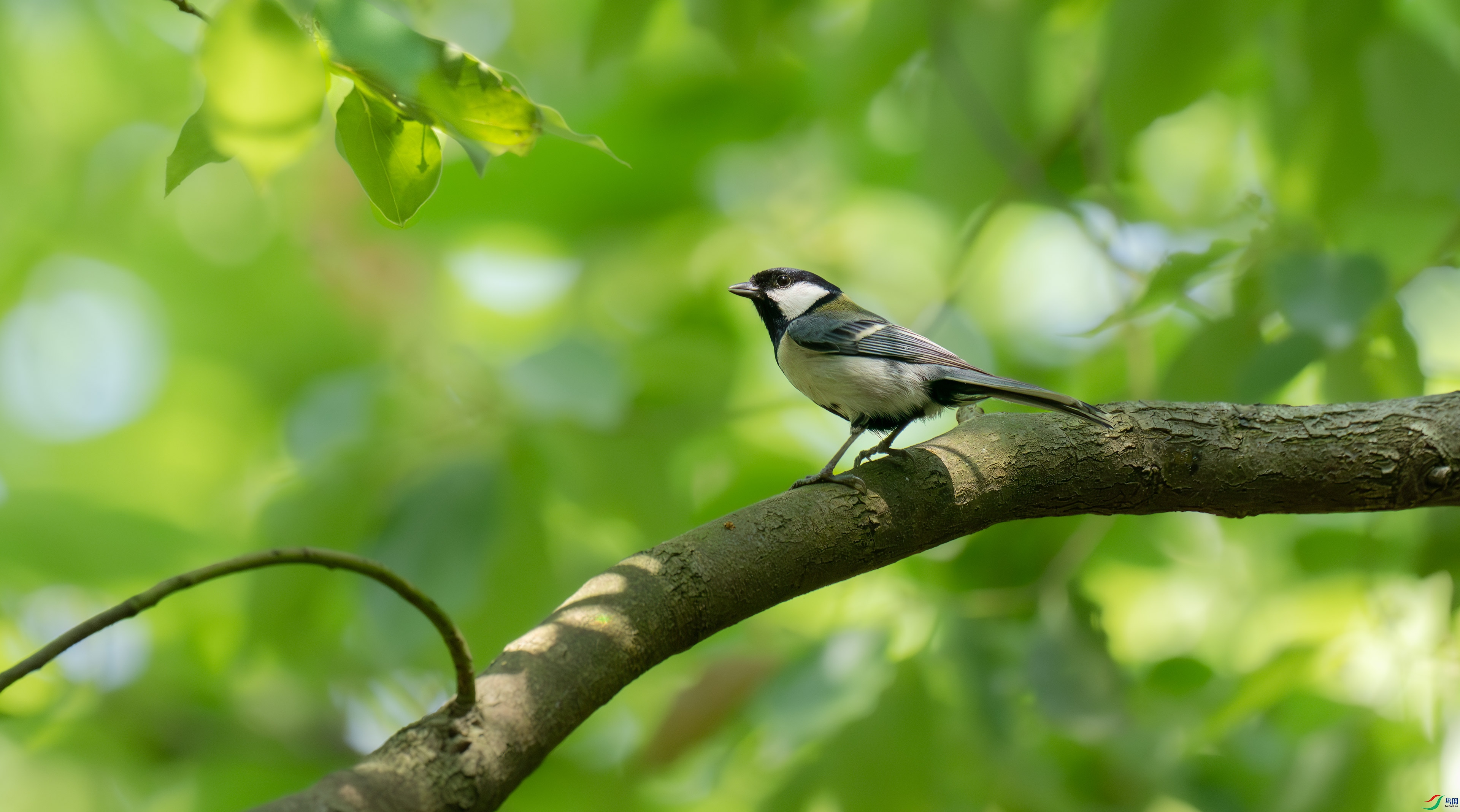 DSC_9840.jpg