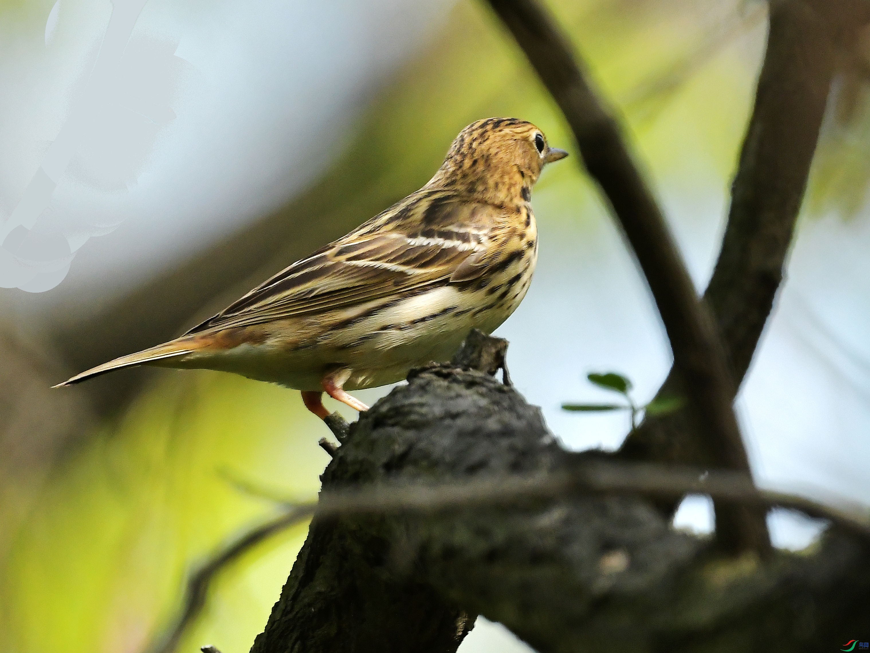 DSC_3849.jpg