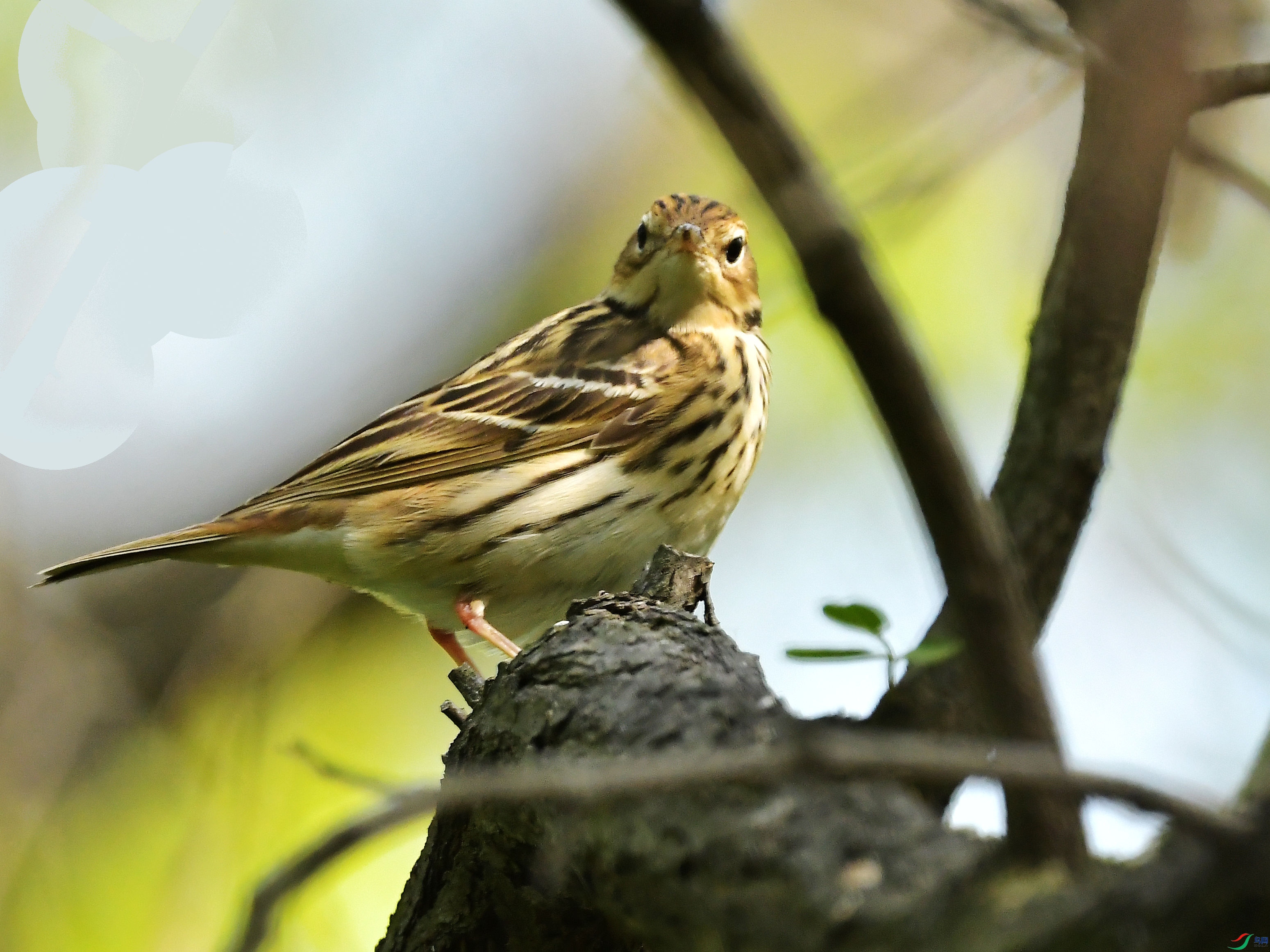 DSC_3884.jpg