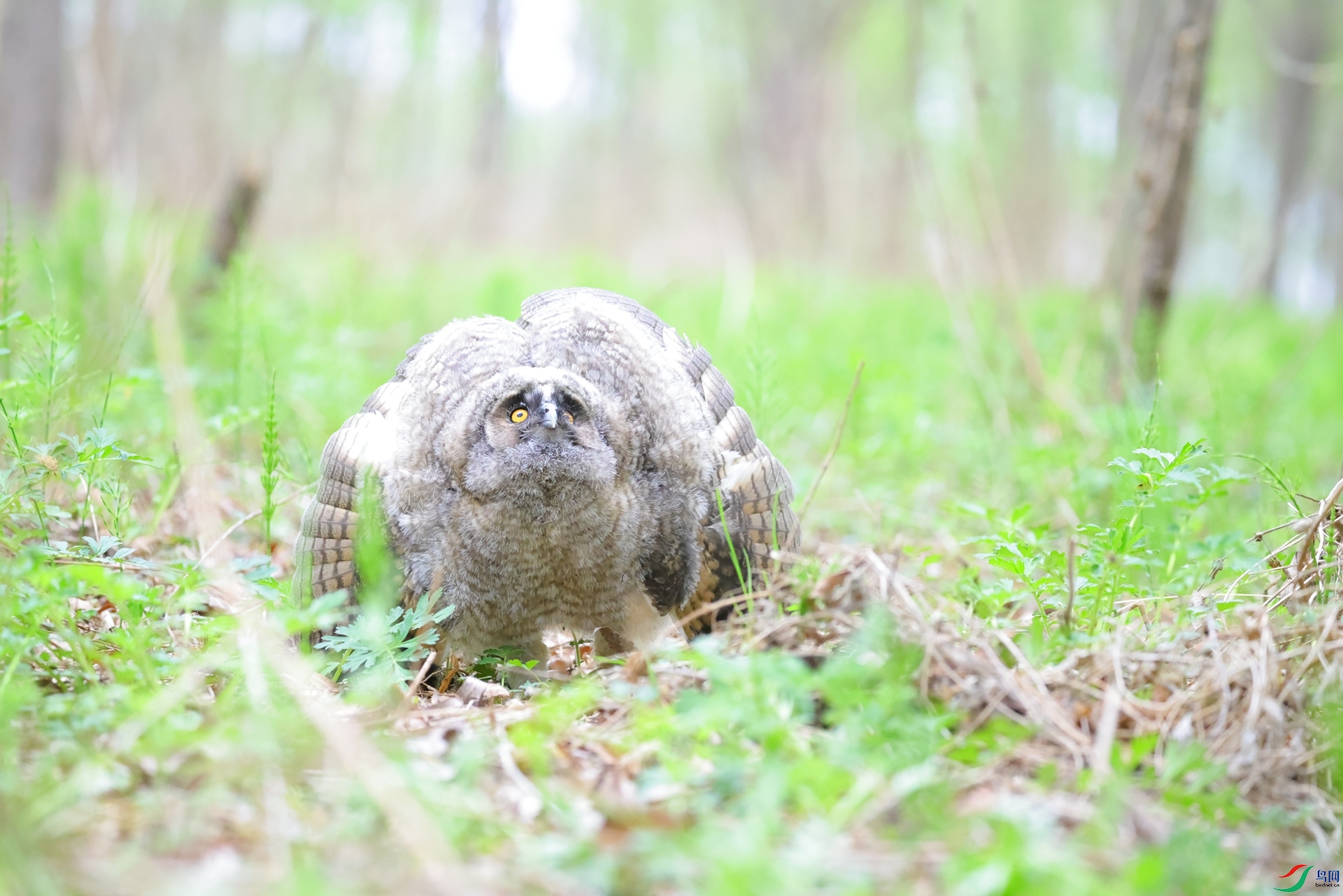 3Q6A6563.JPG