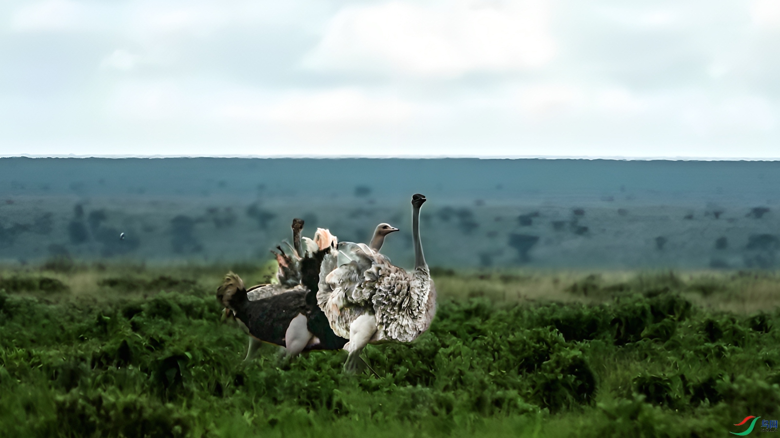 DSC_3428_����.png����������_����_����_����.jpg