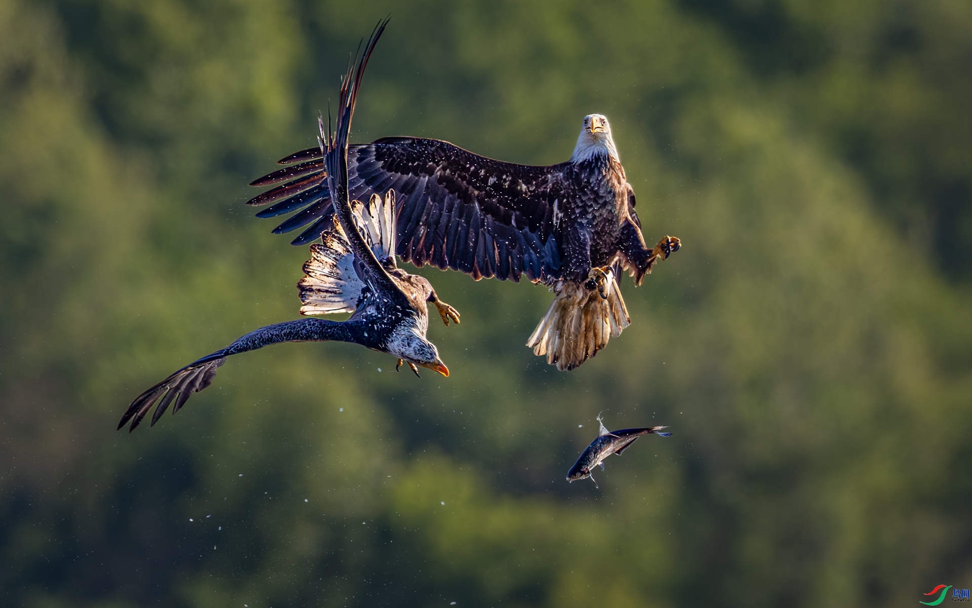 5.8��Ϫphoto��ʦ��Ʒ   ���ᣨף���ٻ���Ӱʦ������.jpg