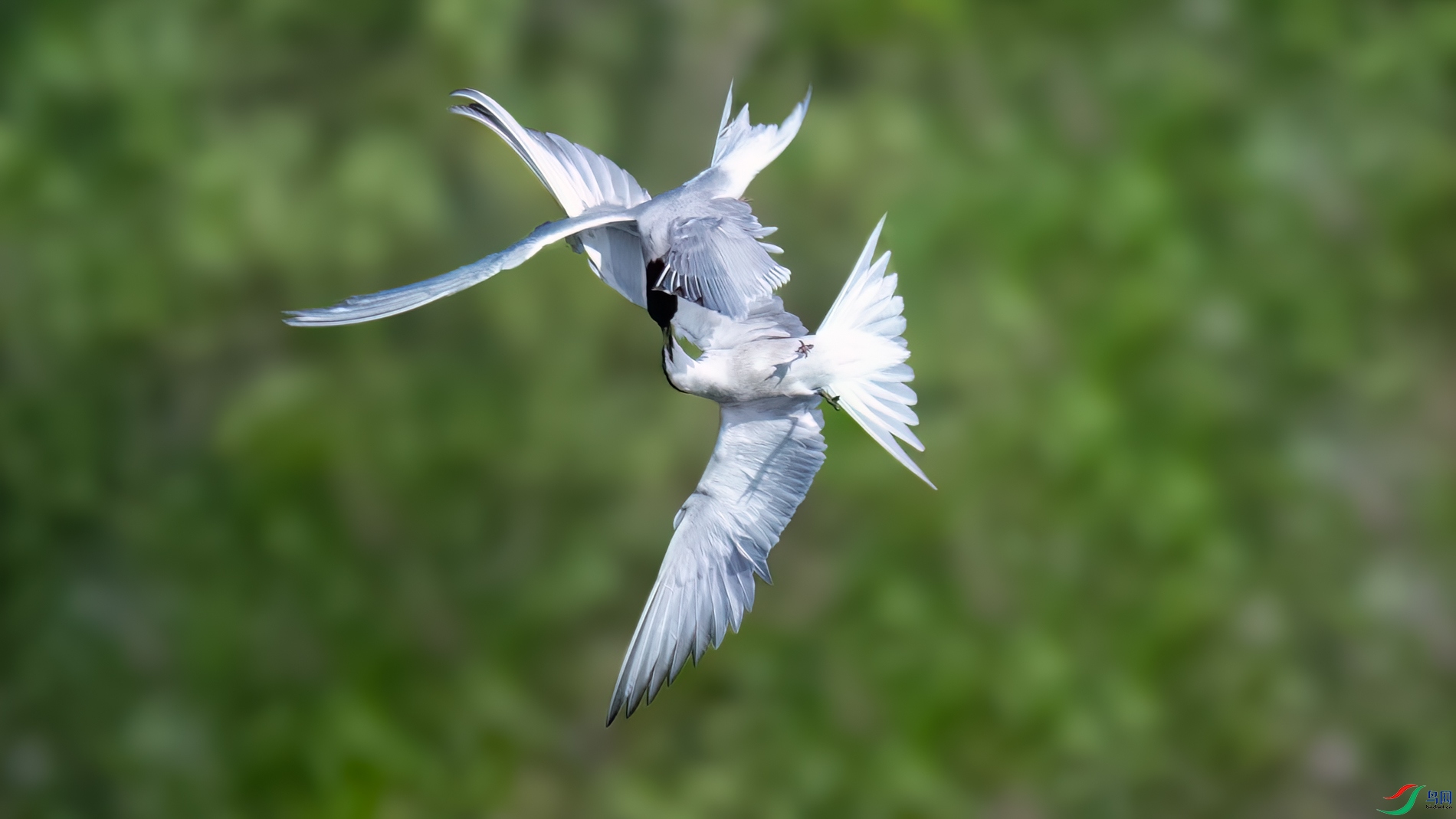 DSC_6474sen2026-5-3-60-�༭.jpg