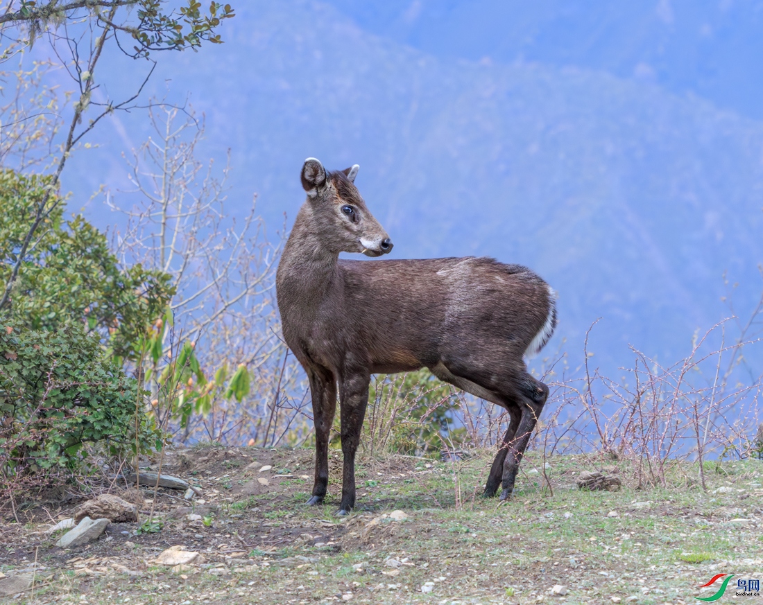 ë��¹1M5A5926.jpg