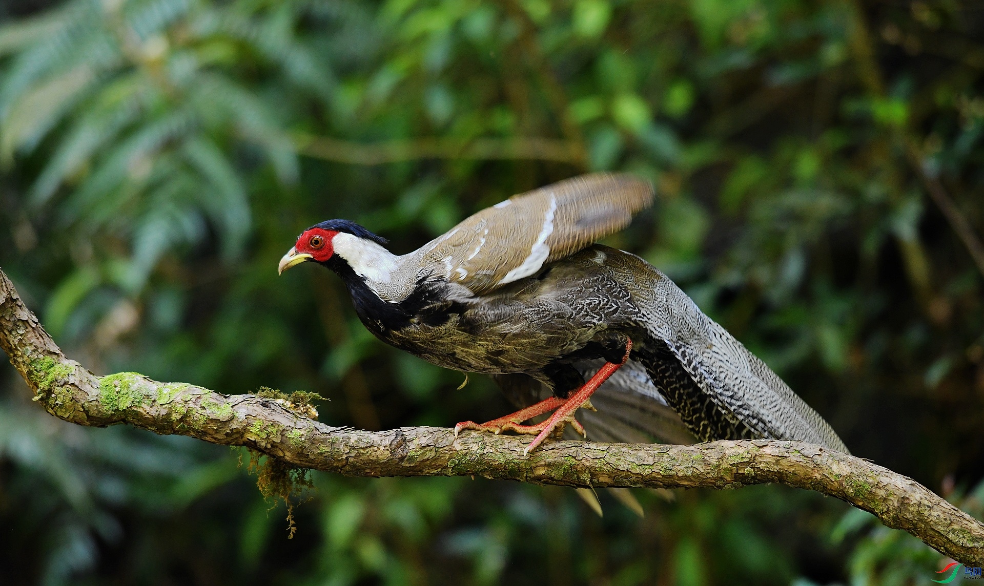 DSC_2623.jpg