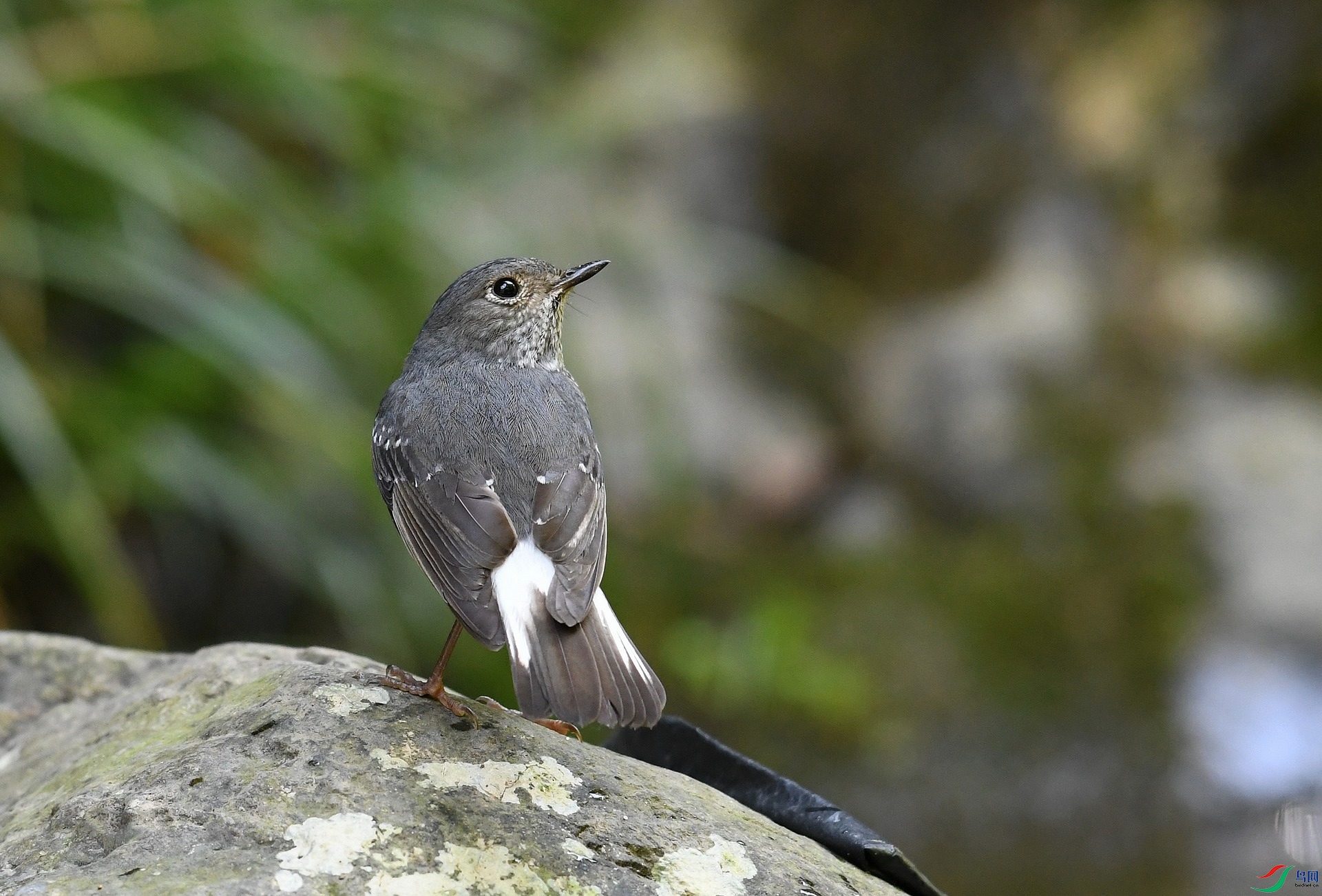 DSC_2299.jpg