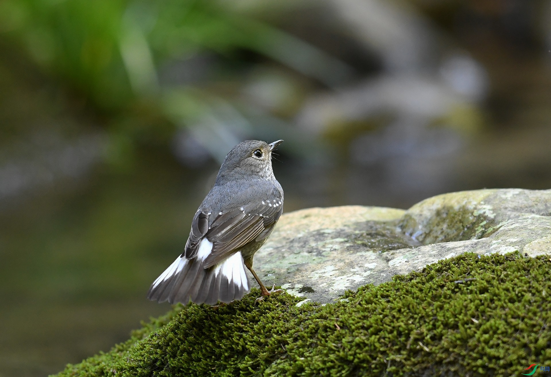 DSC_2296.jpg