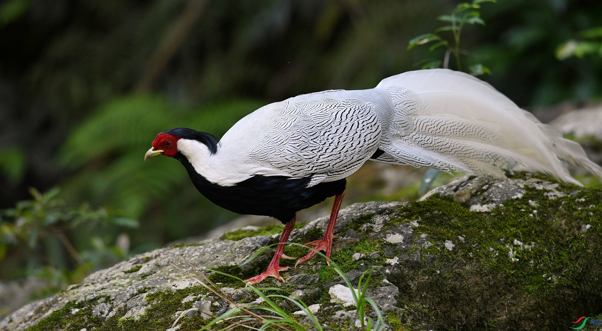 DSC_2413.jpg