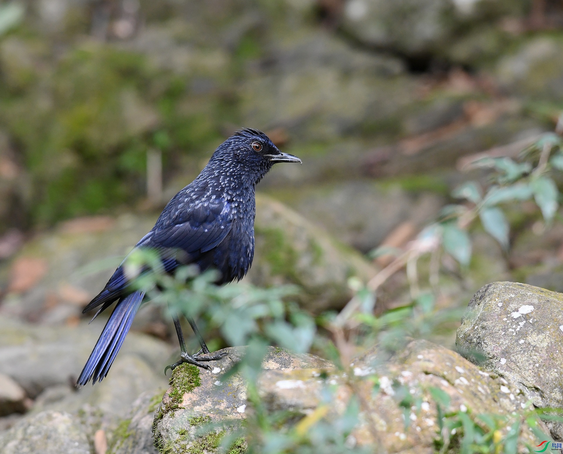 DSC_5814.jpg