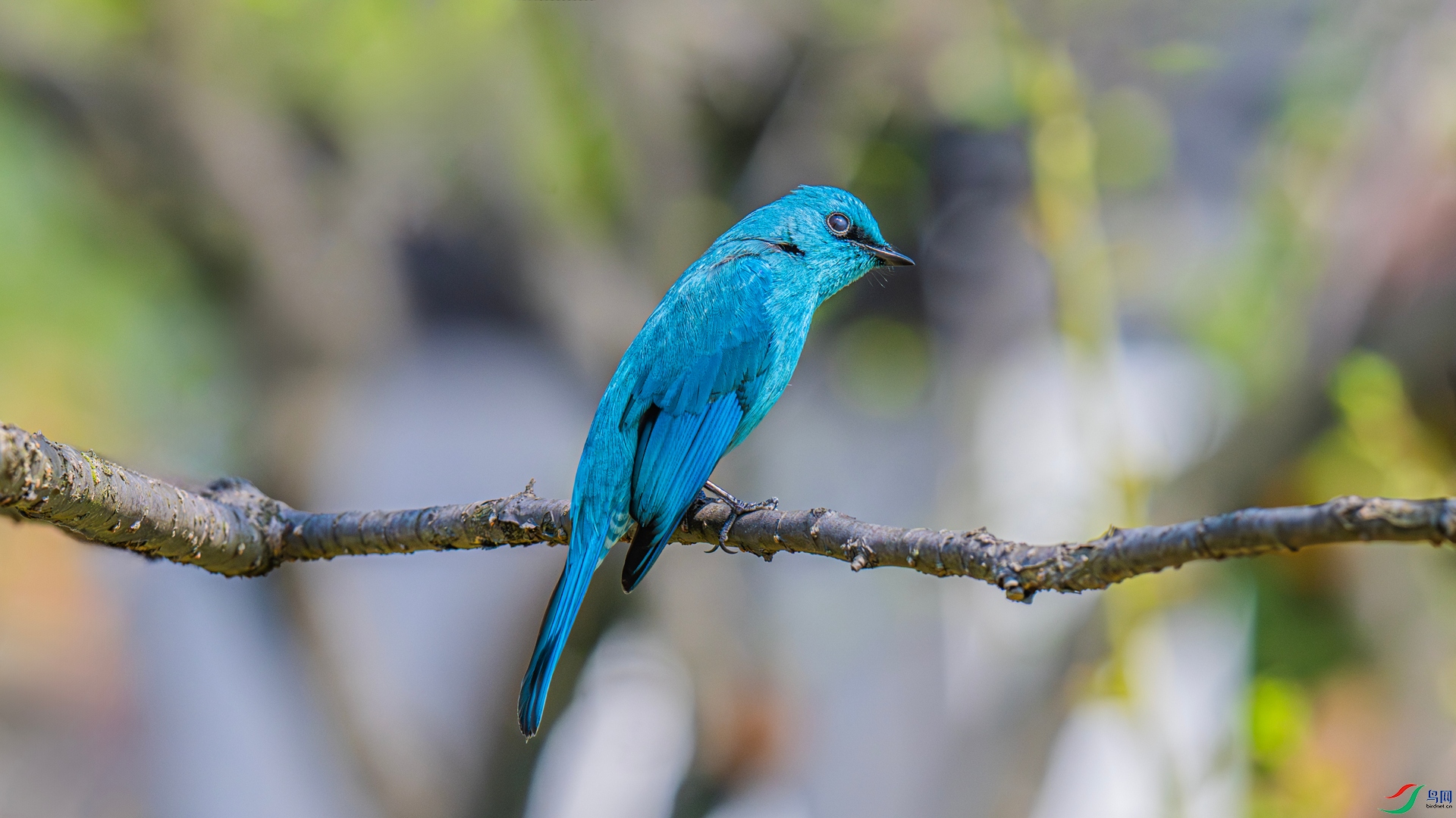 DSC_5067_����.jpg
