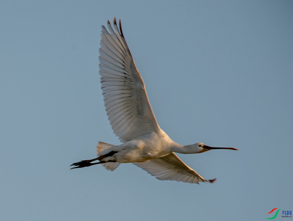 _DSC3838.jpg