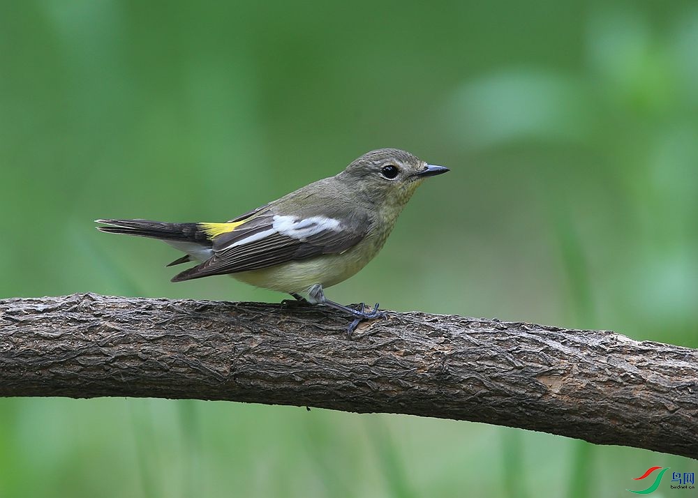 D72T6225.JPG