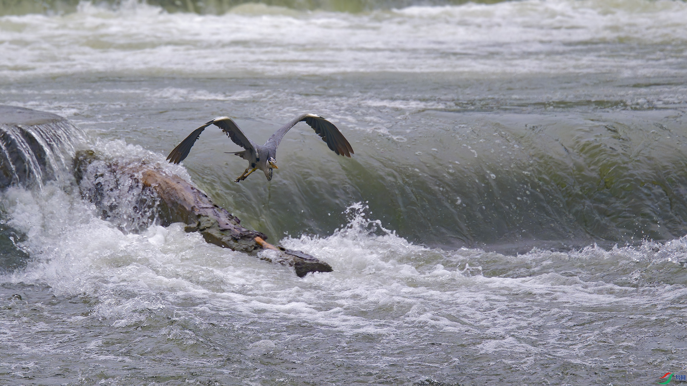 DSC_0182_DxO.jpg