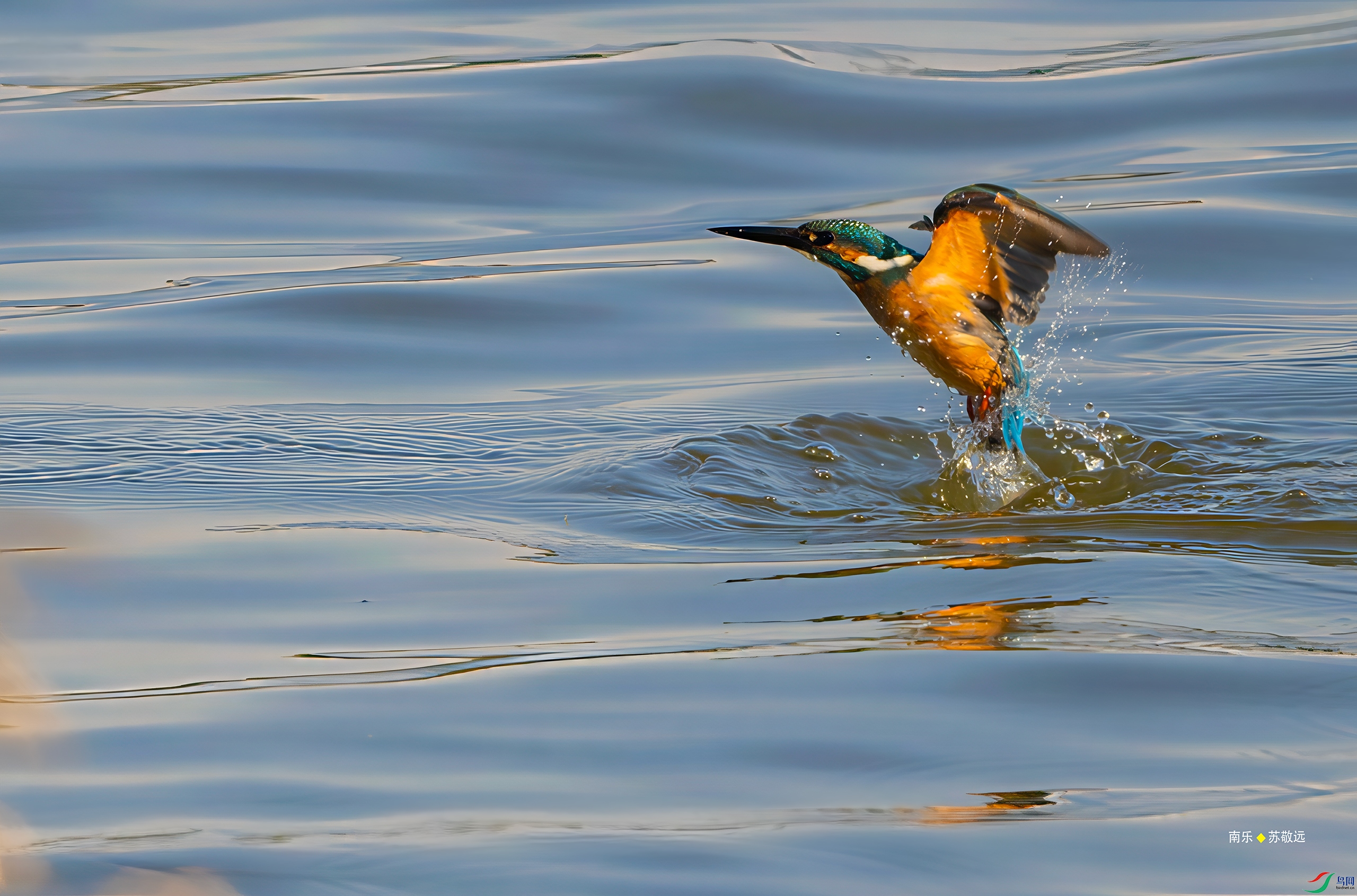 _DSC4314-DxO_С.jpg