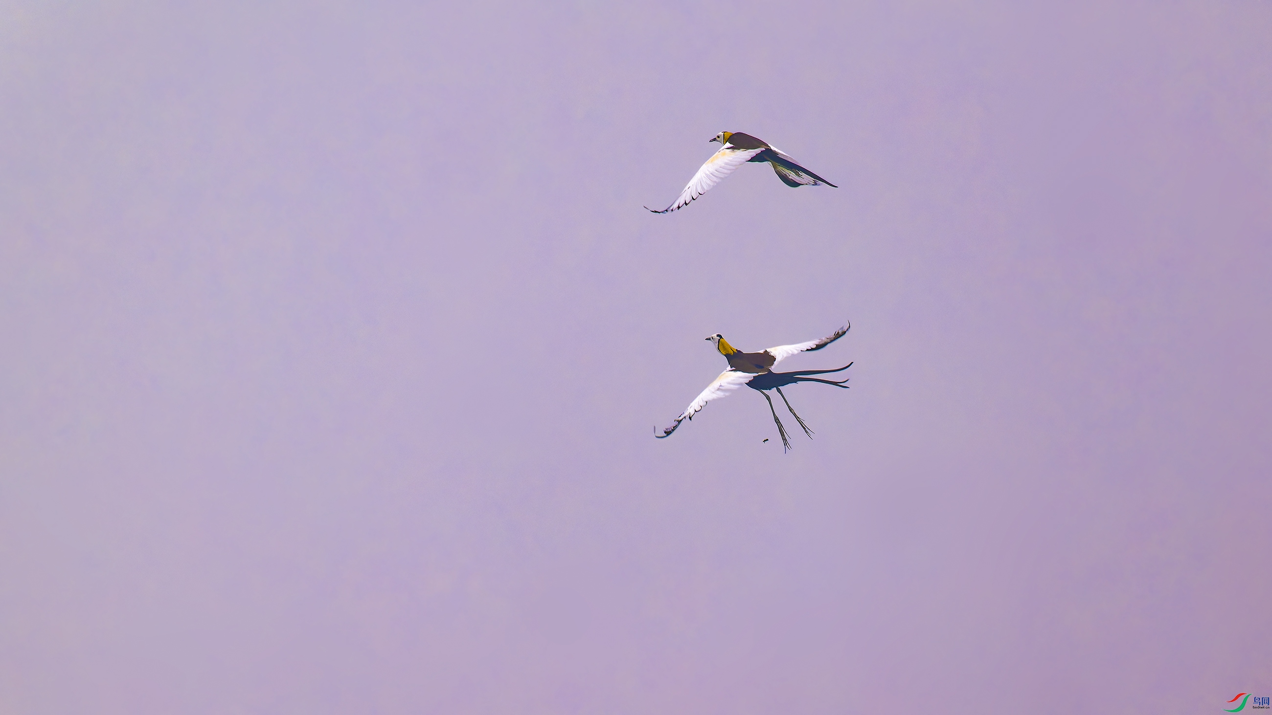 DSC_6464_DxO.jpg