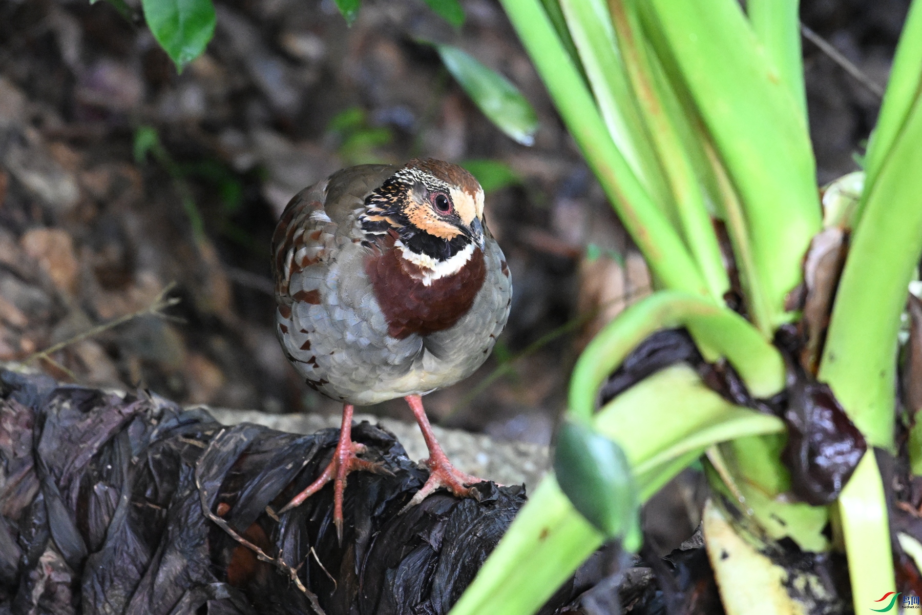 DSC_3758.JPG