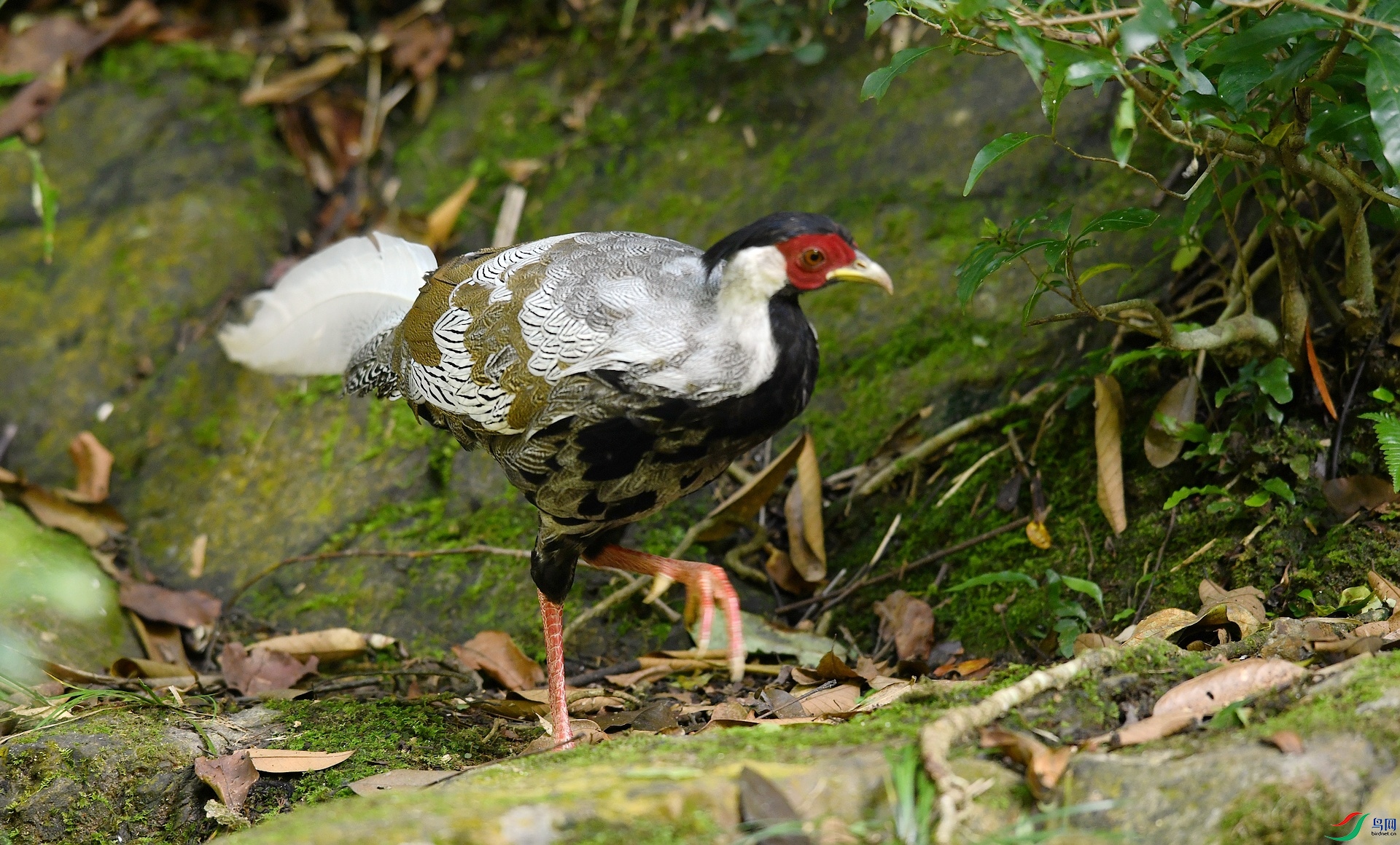 DSC_2548.jpg