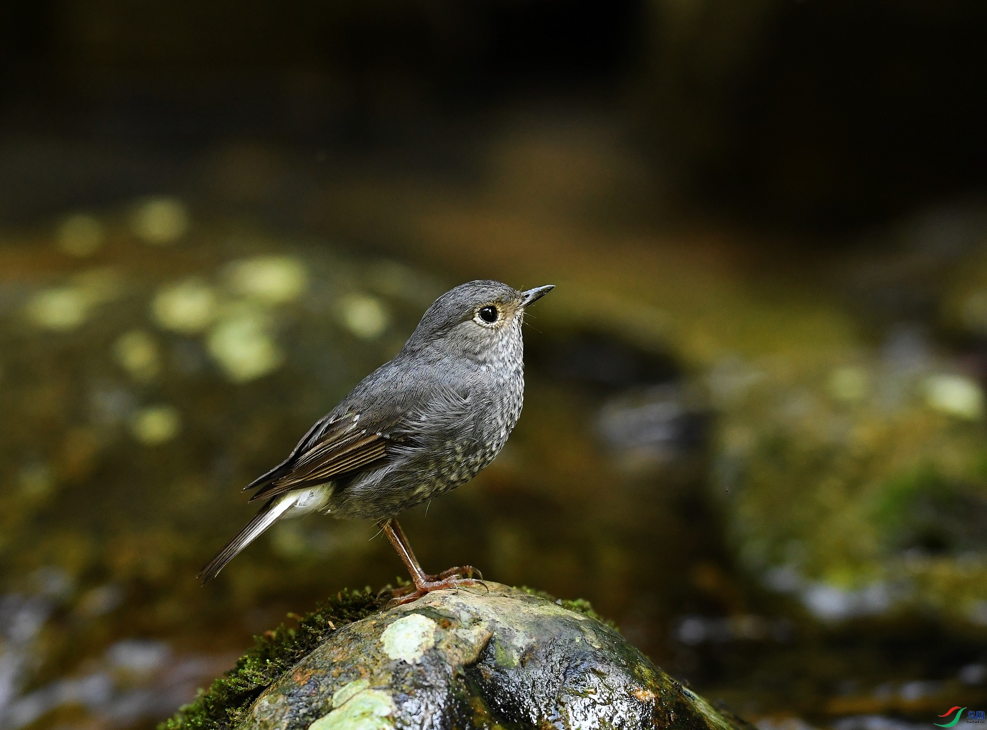 DSC_2289.jpg