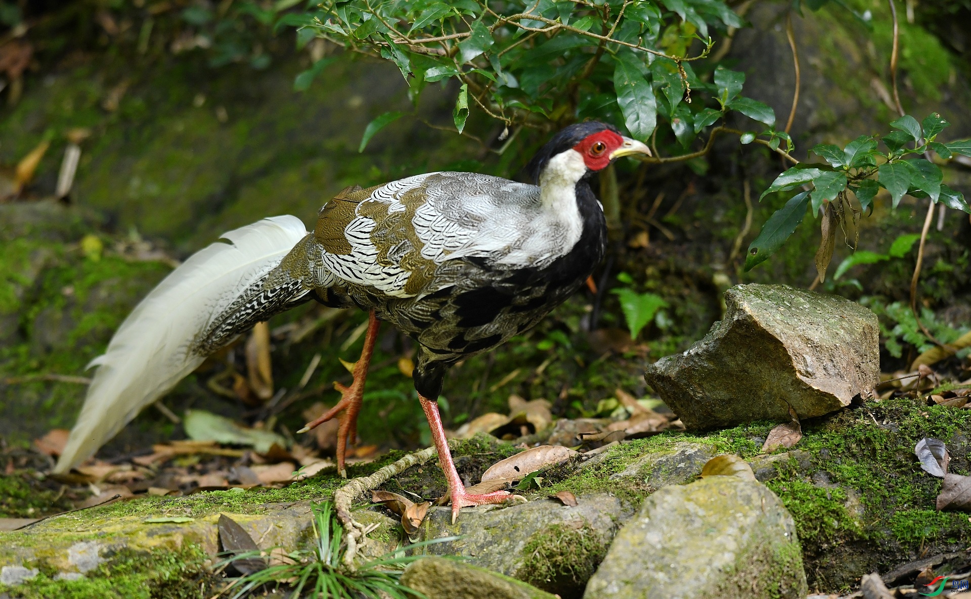 DSC_2550.jpg