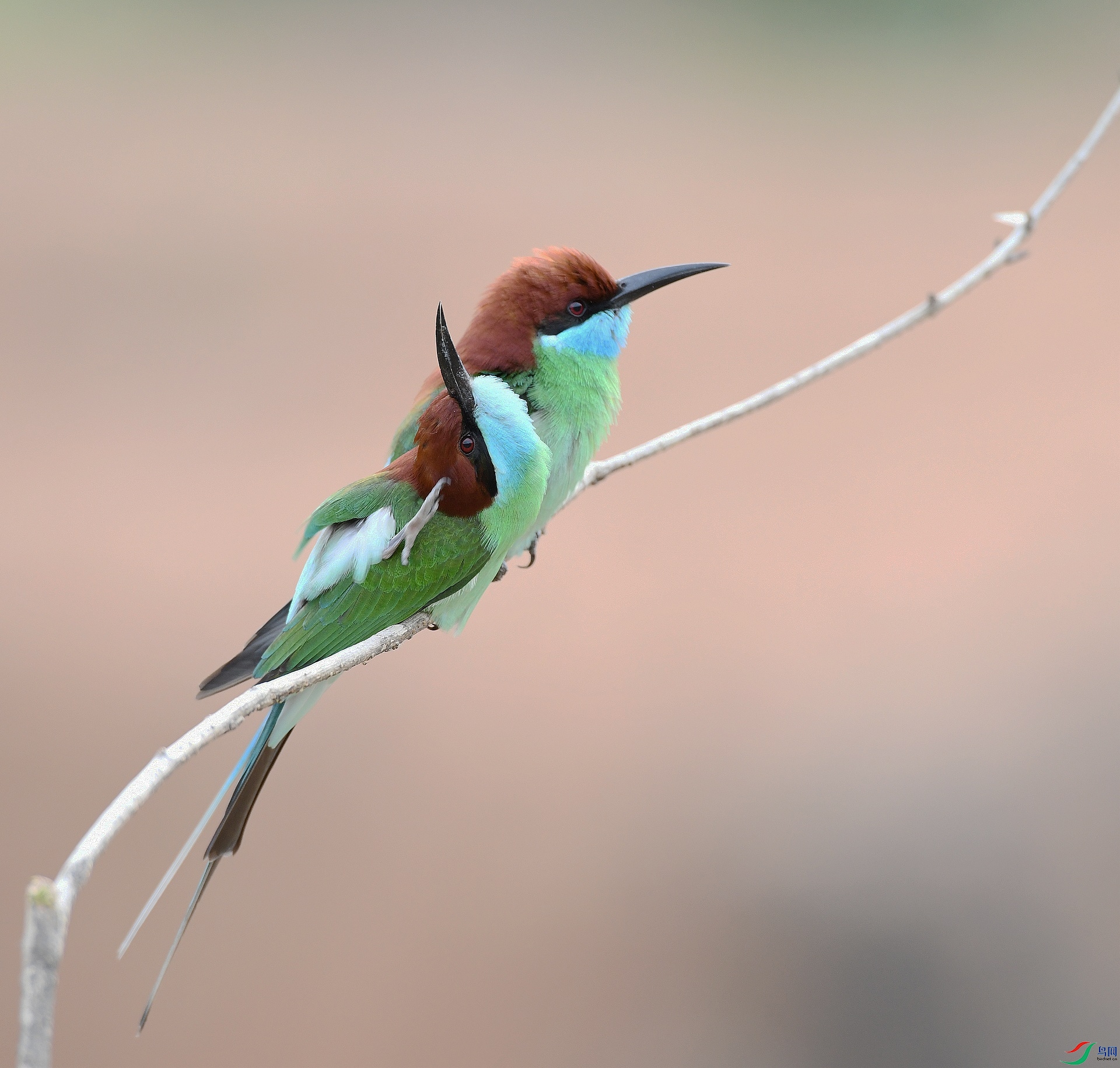 DSC_0386.jpg