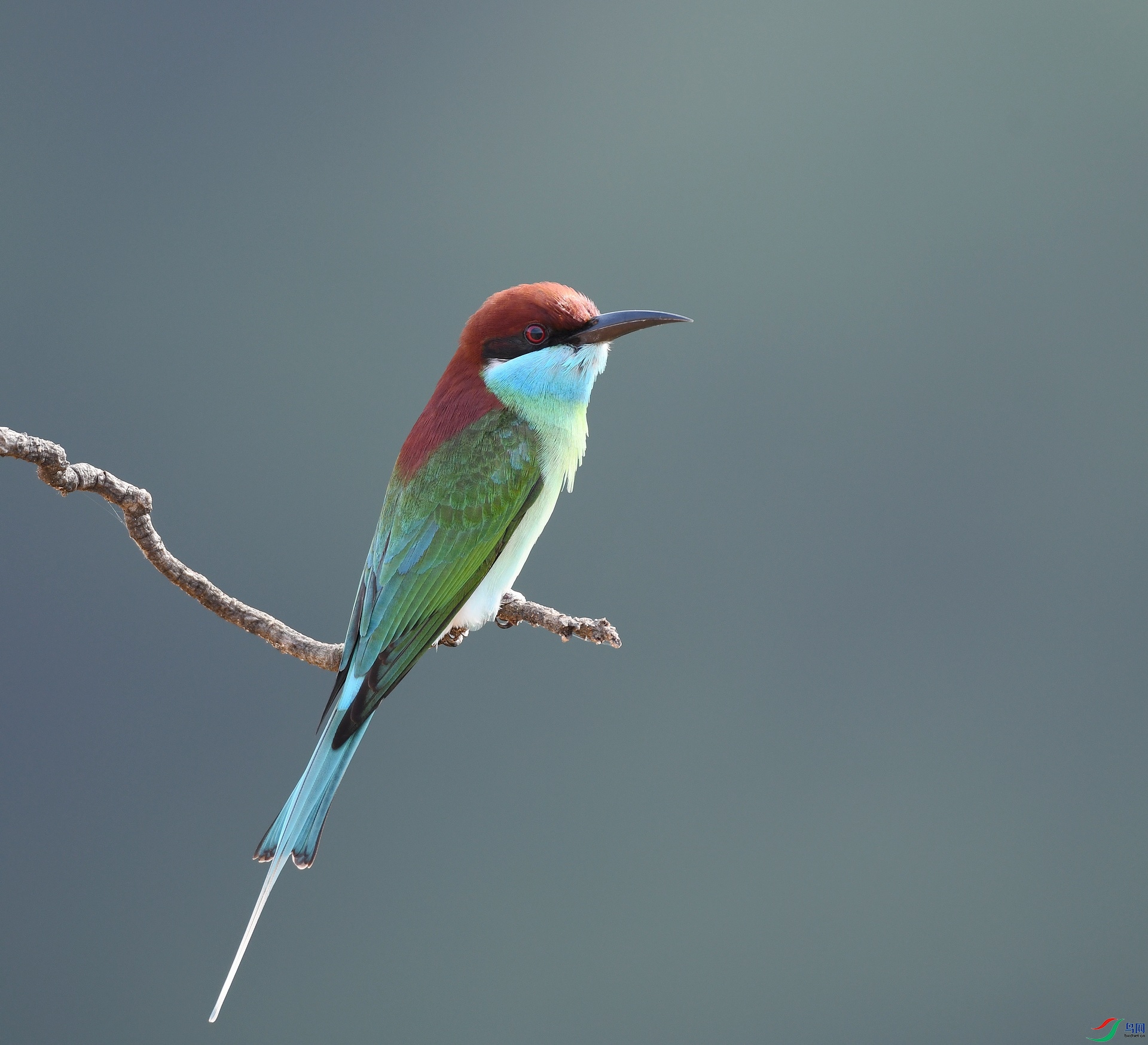 DSC_0421.jpg