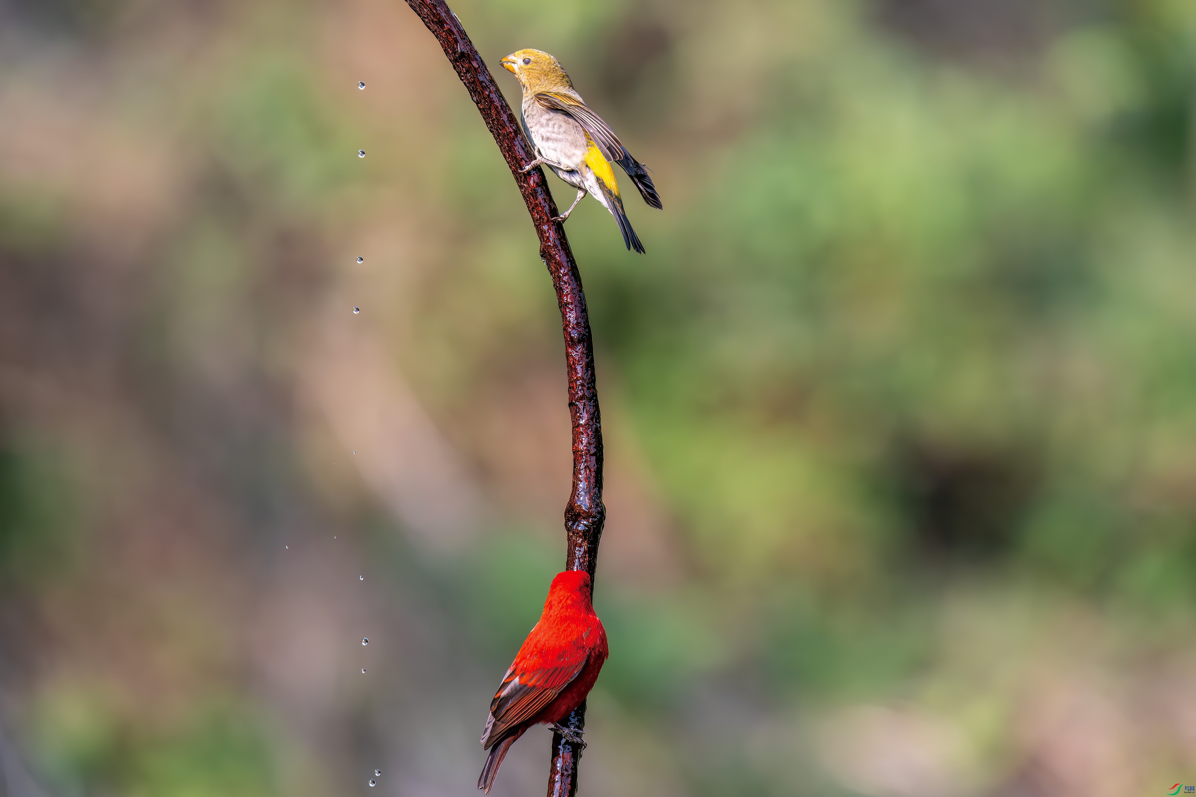 DSC_8451.jpg