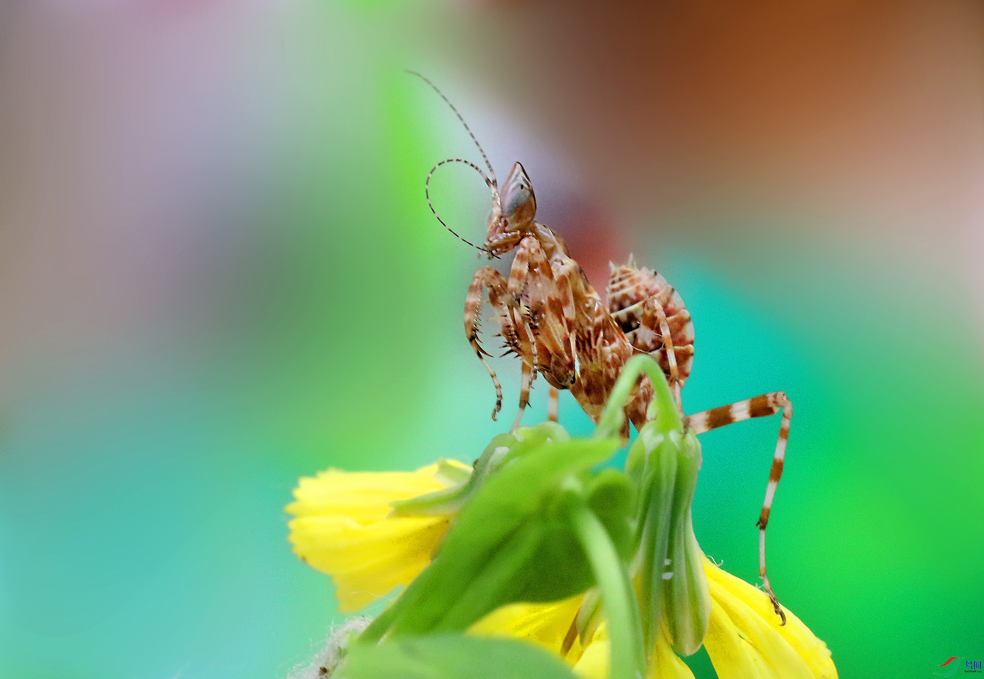 0N2A6802 ���� 2.jpg
