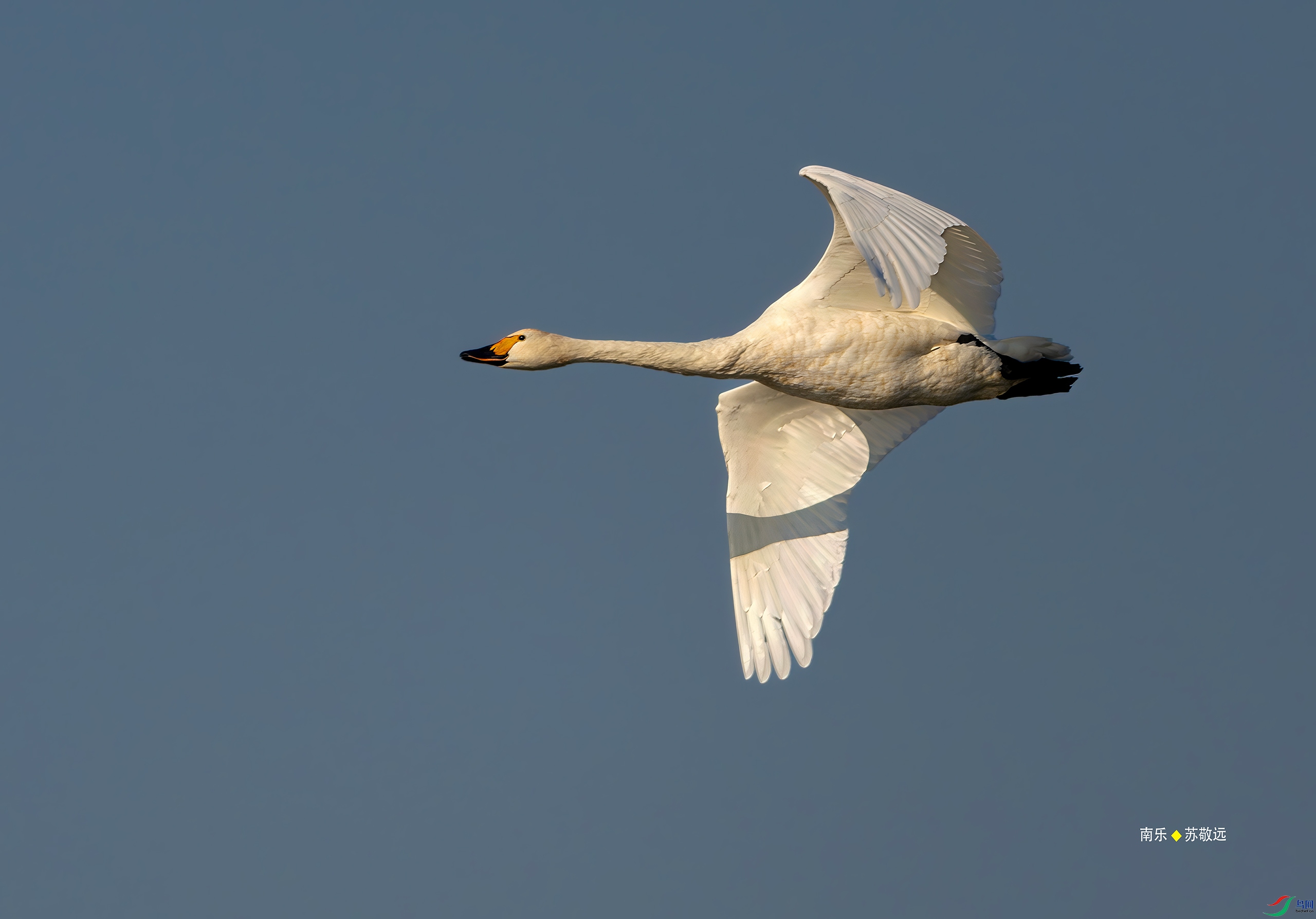 _DSC4123-DxO_С.jpg