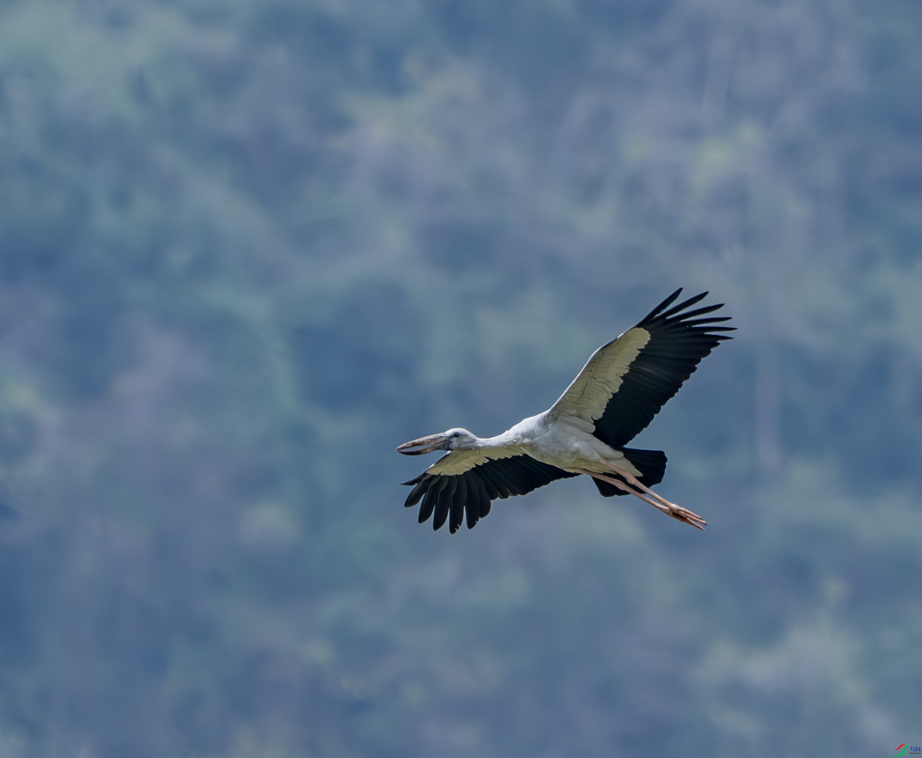ǯ����-7-3.jpg