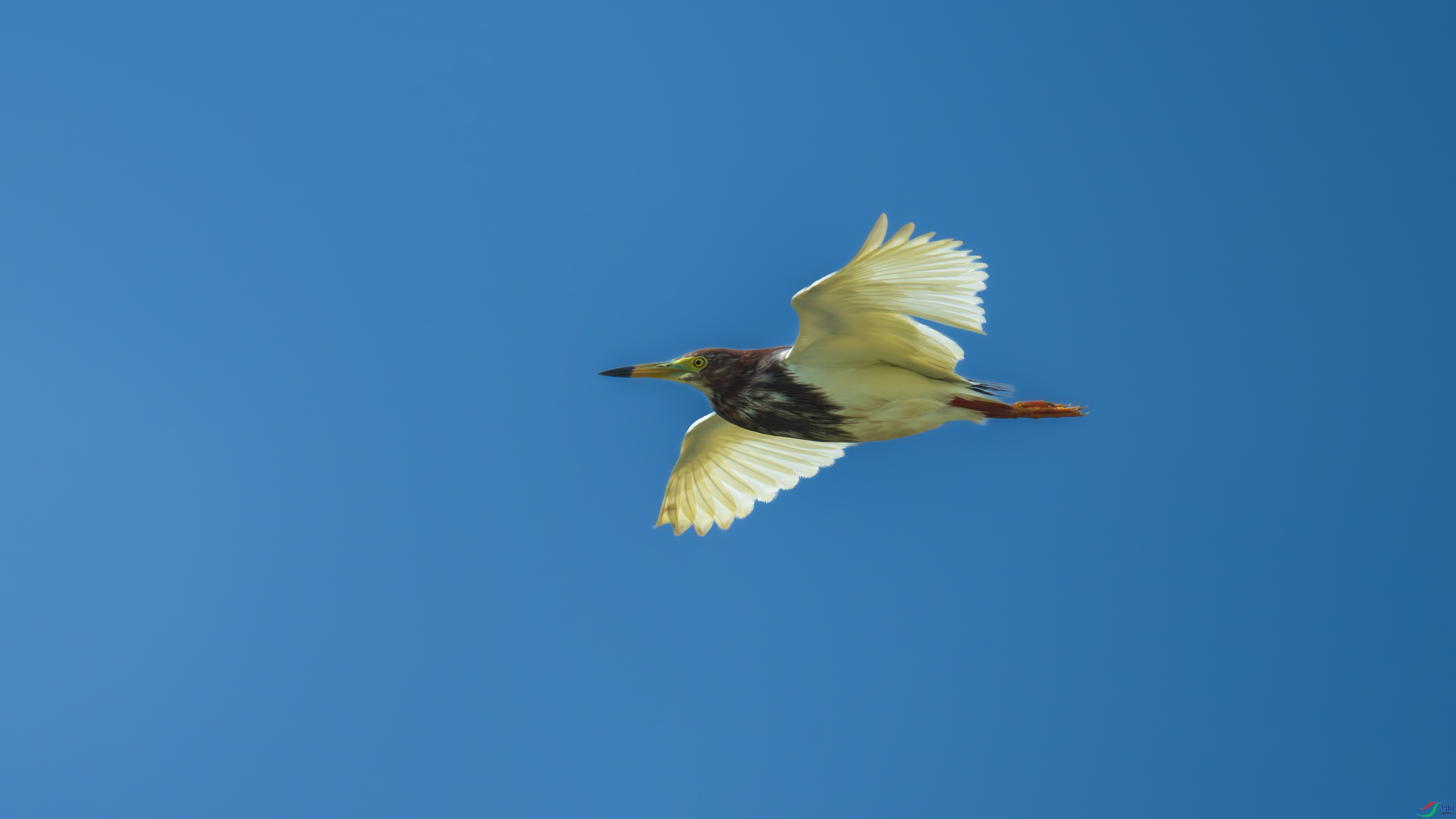 DSC_0894.jpg