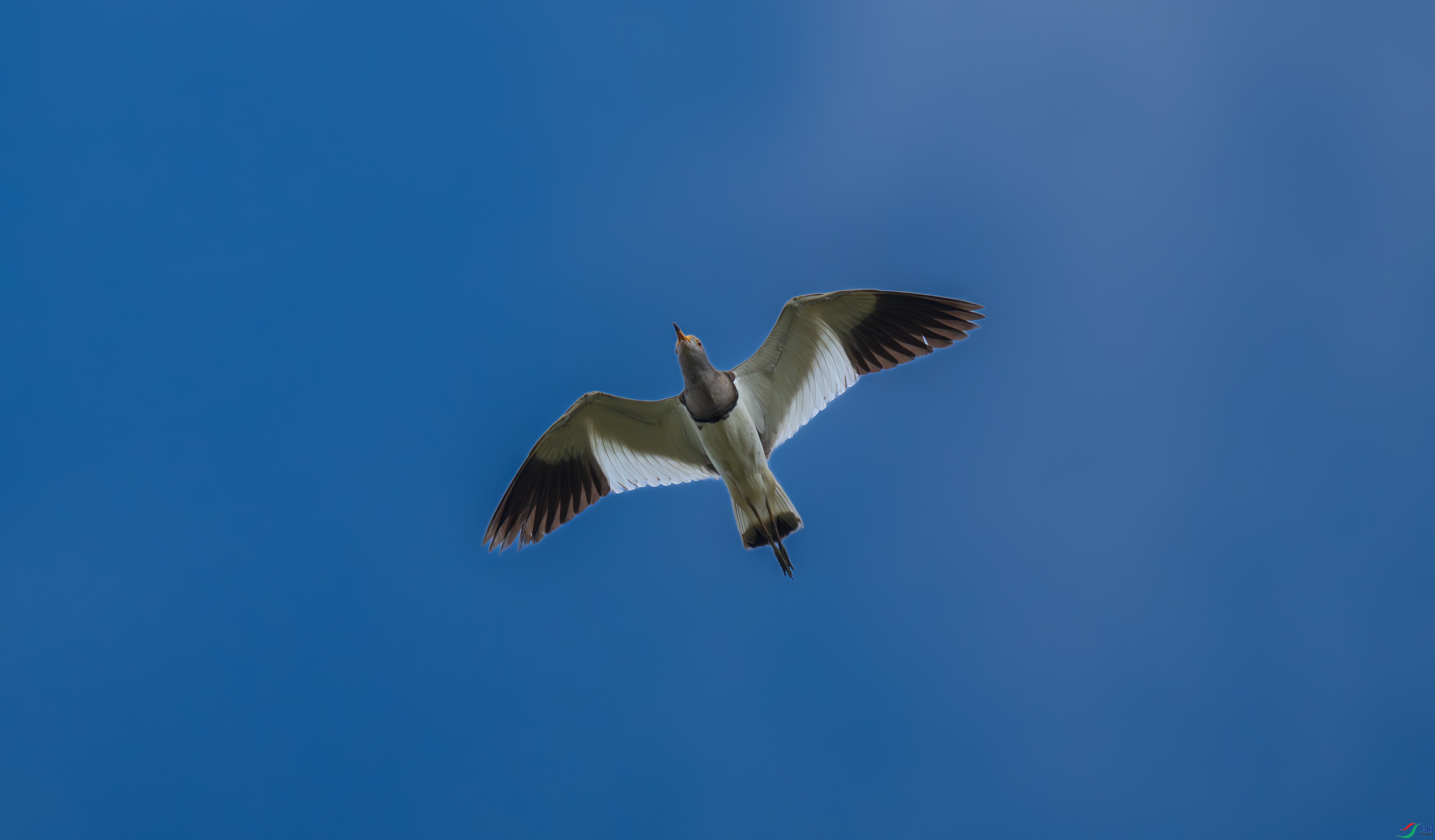 DSC_0834-1.jpg