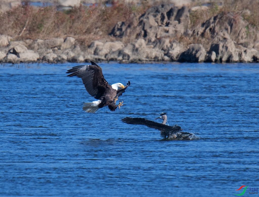 DSC_7010.jpg
