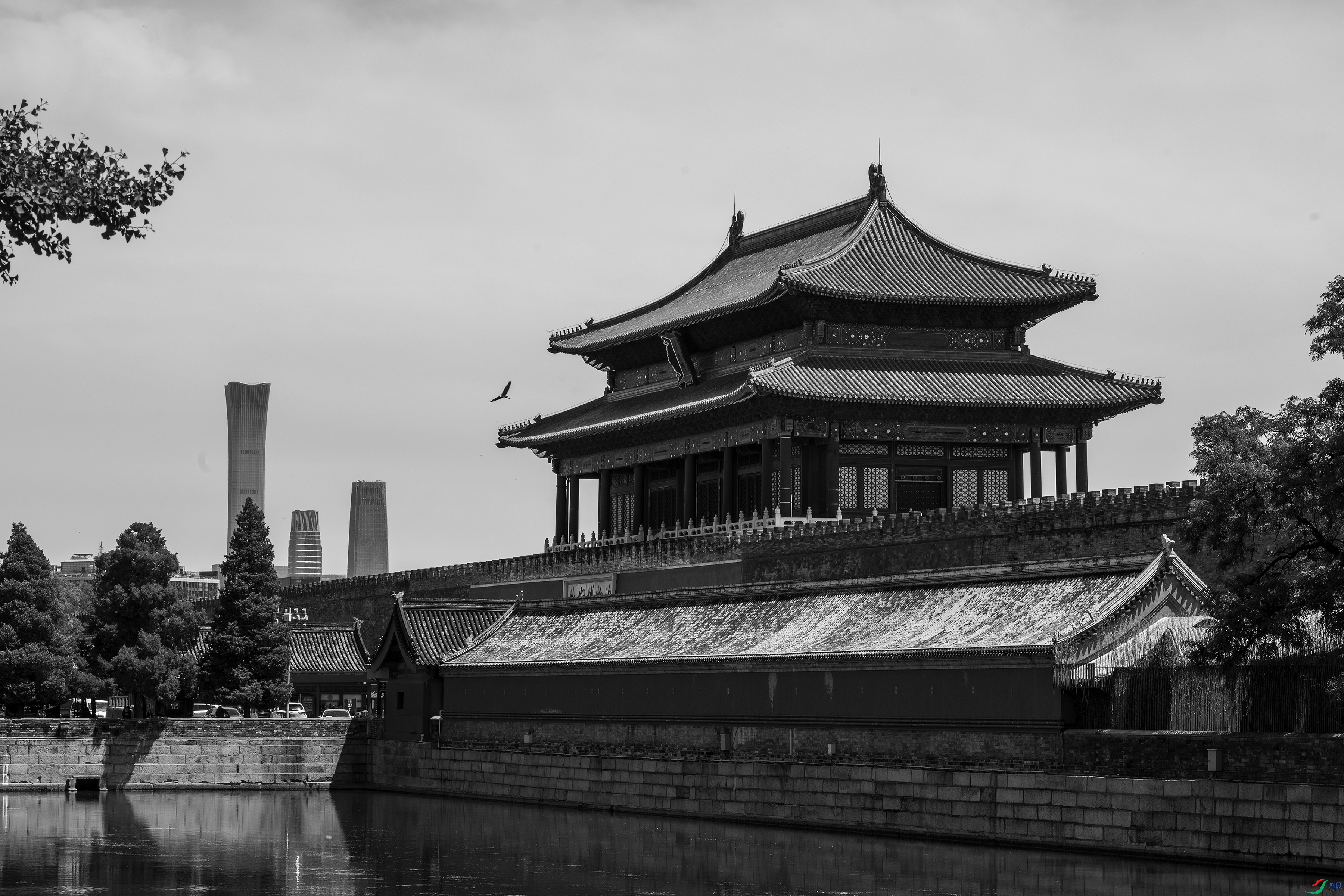 DSC_1571 ����.jpg