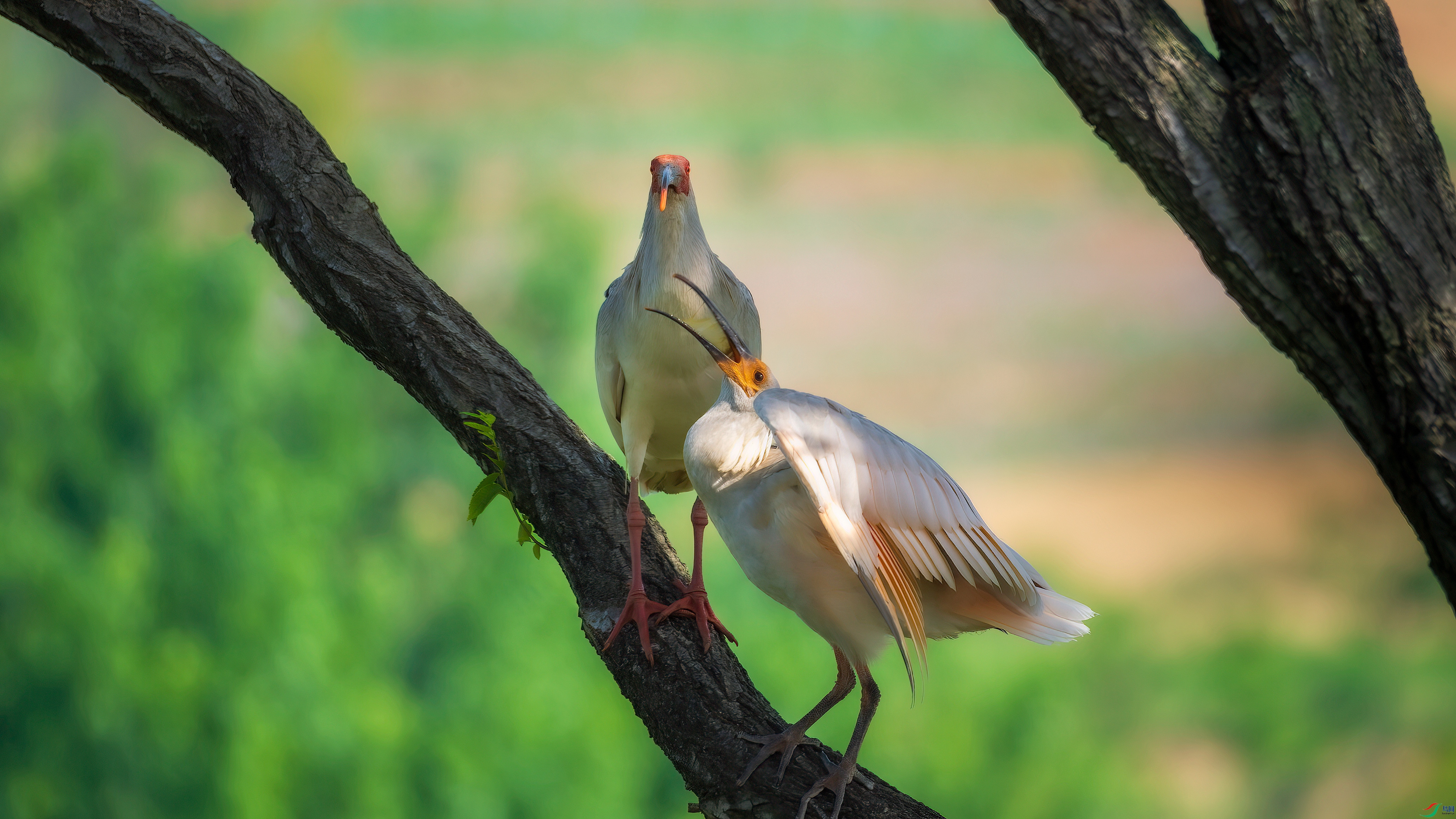 DSC_5183.jpg