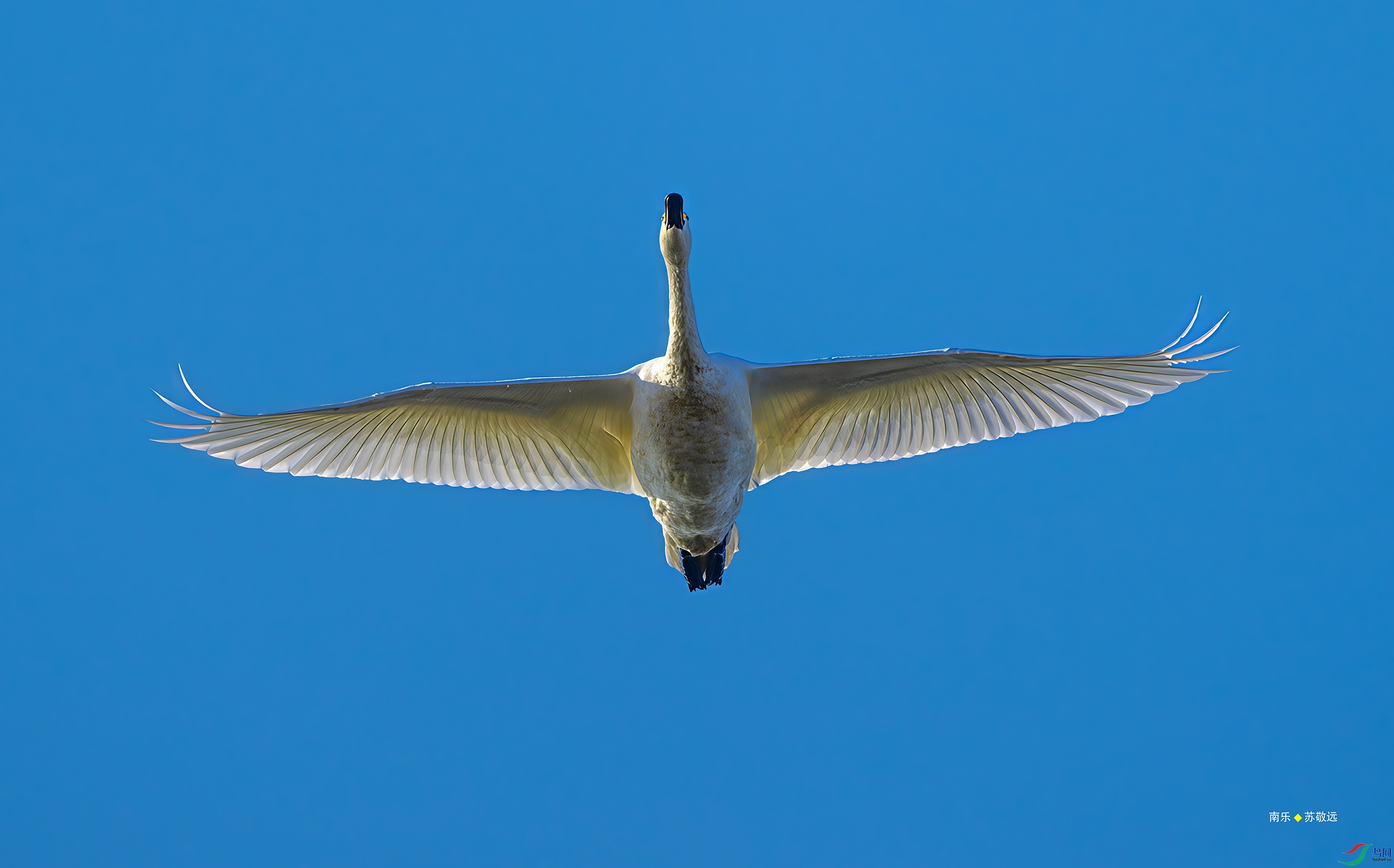 _DSC4173-DxO_С.jpg
