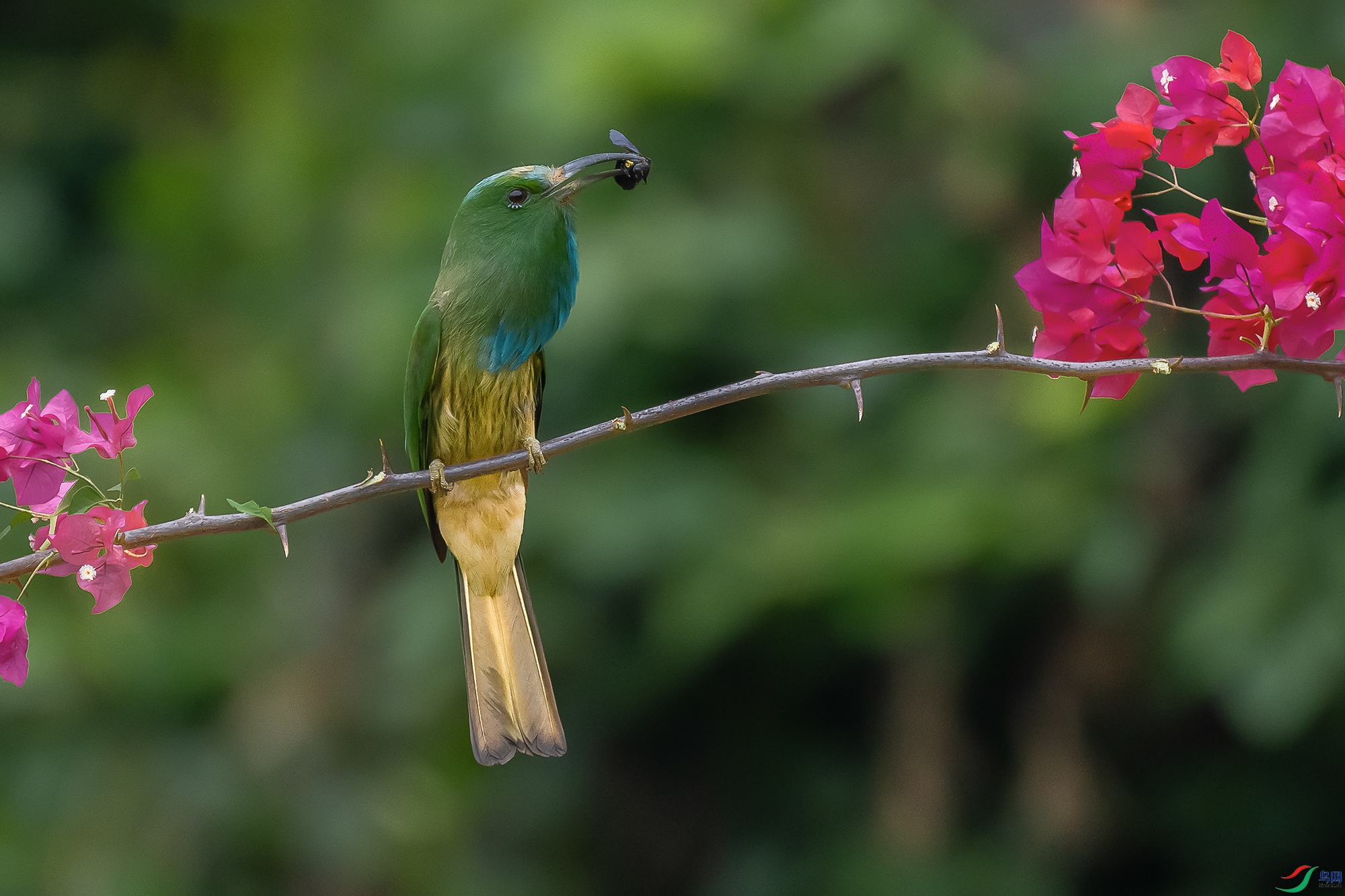 DSC_0755-1.jpg