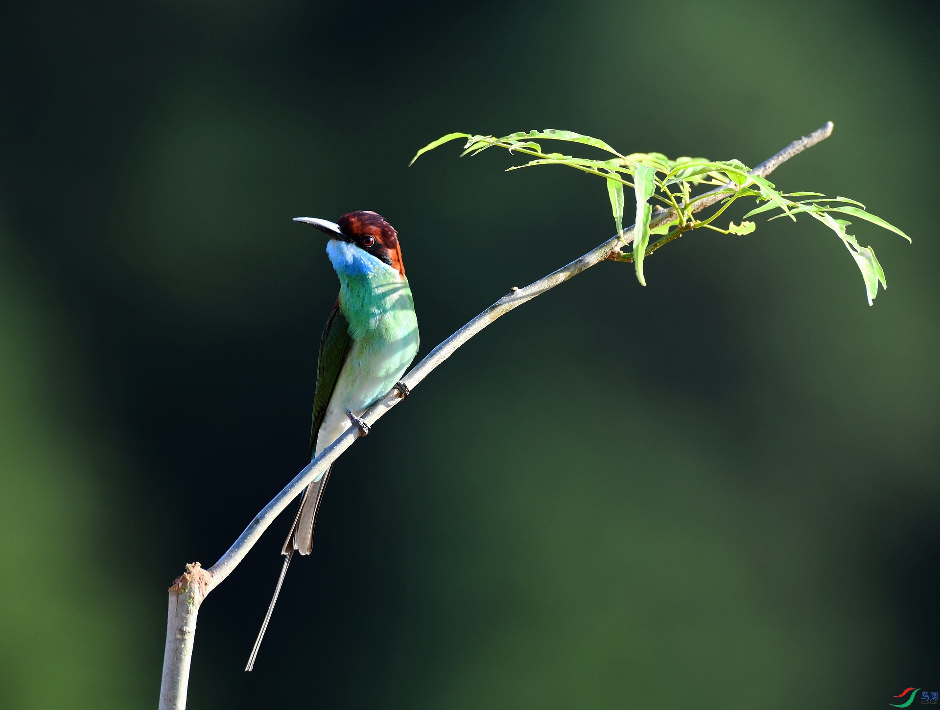 DSC_2982.jpg