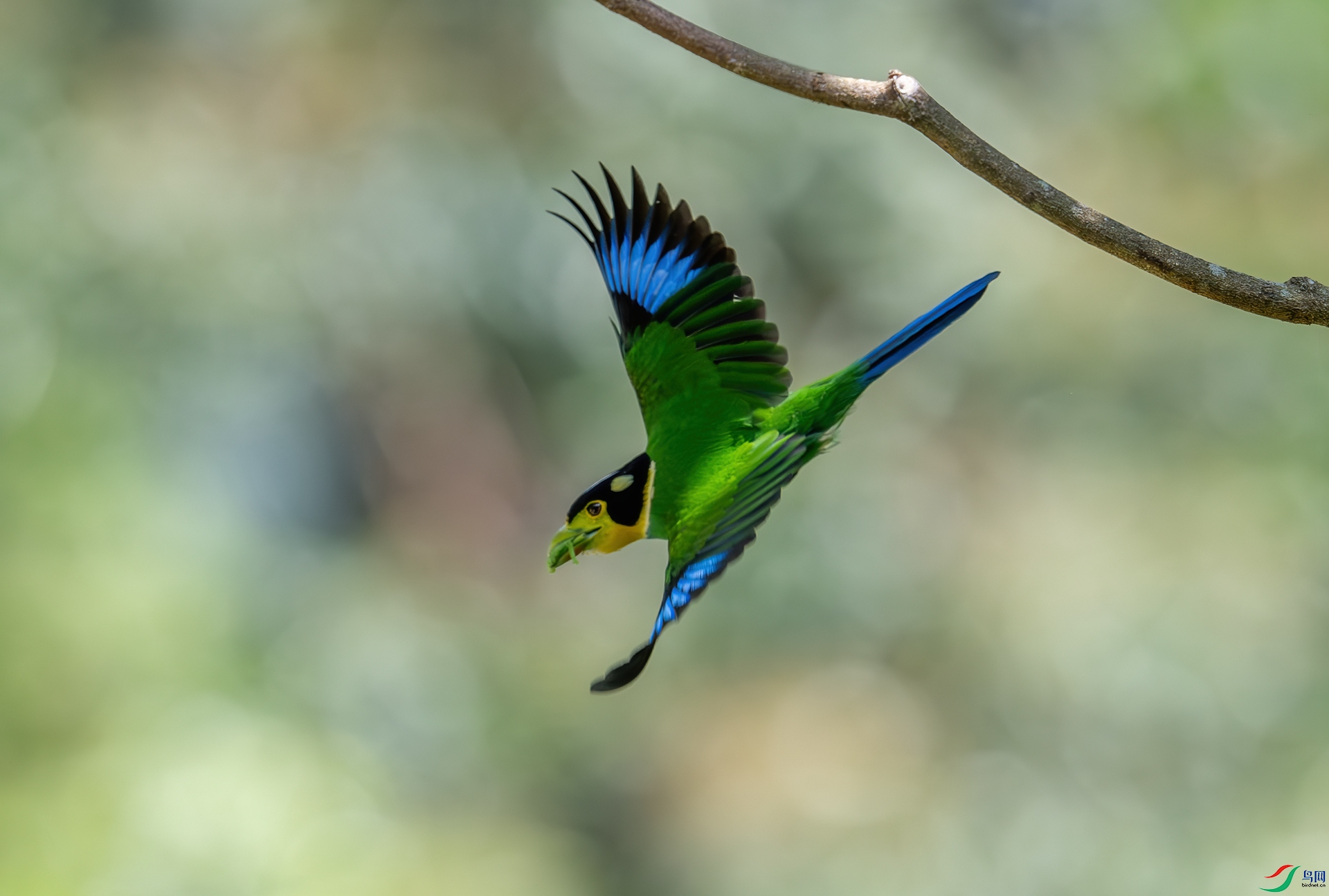 DSC_5157.jpg