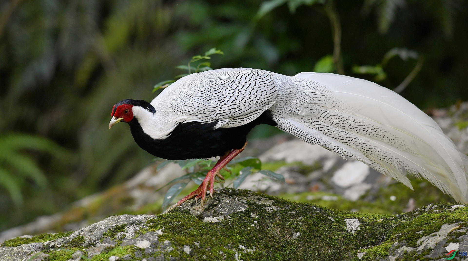 DSC_2410.jpg