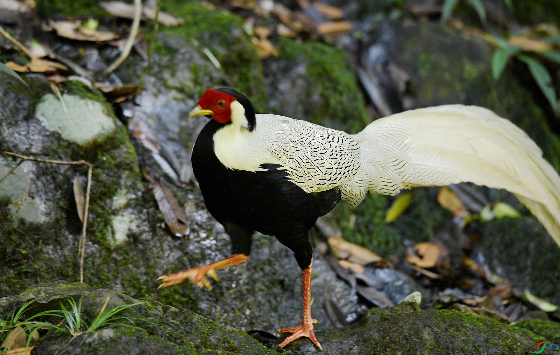 DSC_2477.jpg