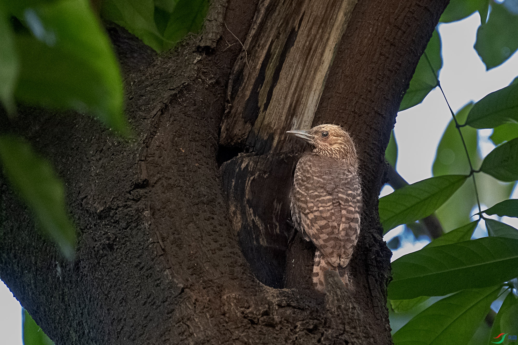 DSC_1914.jpg