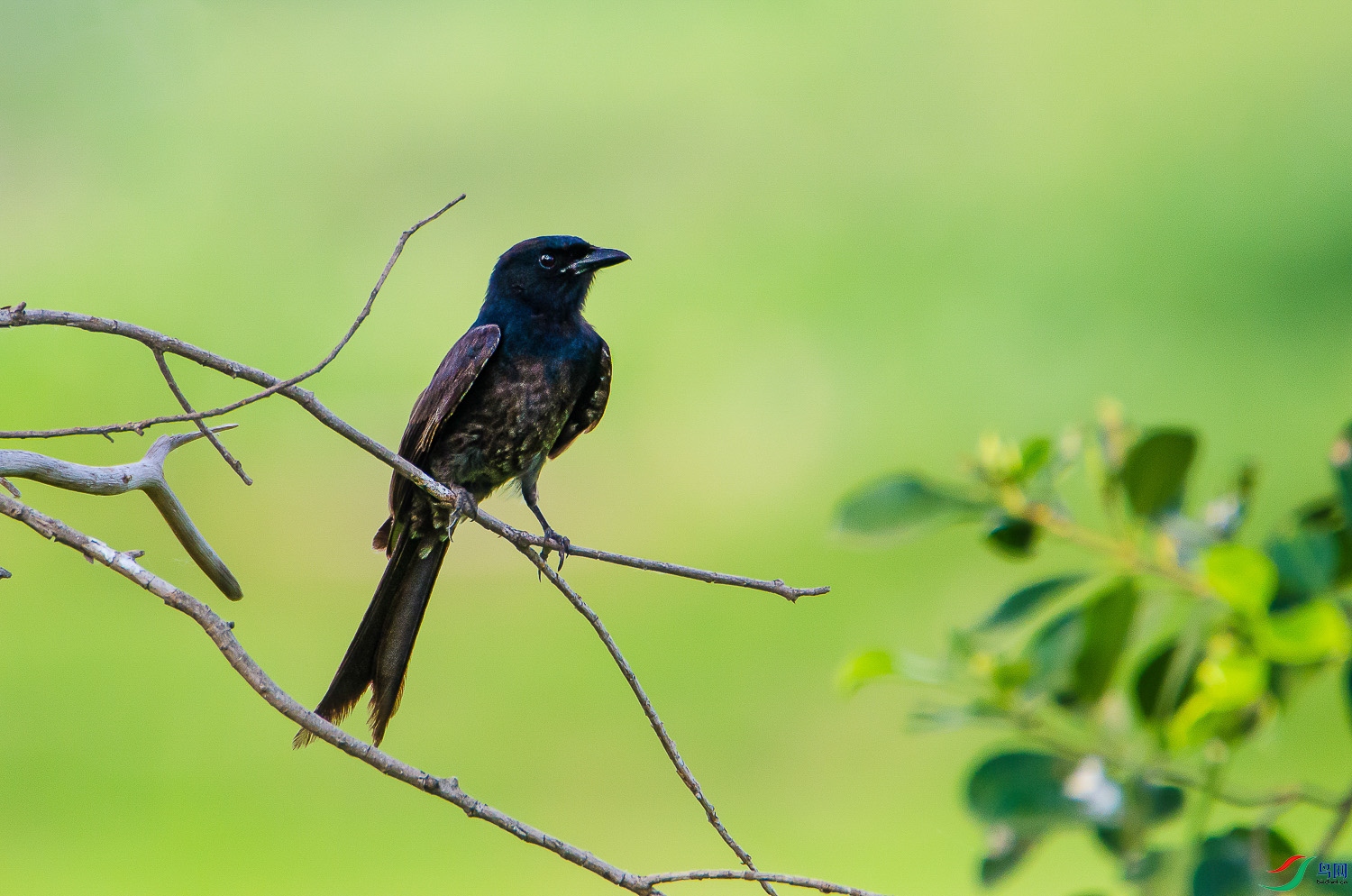 DSC_7869.2.jpg