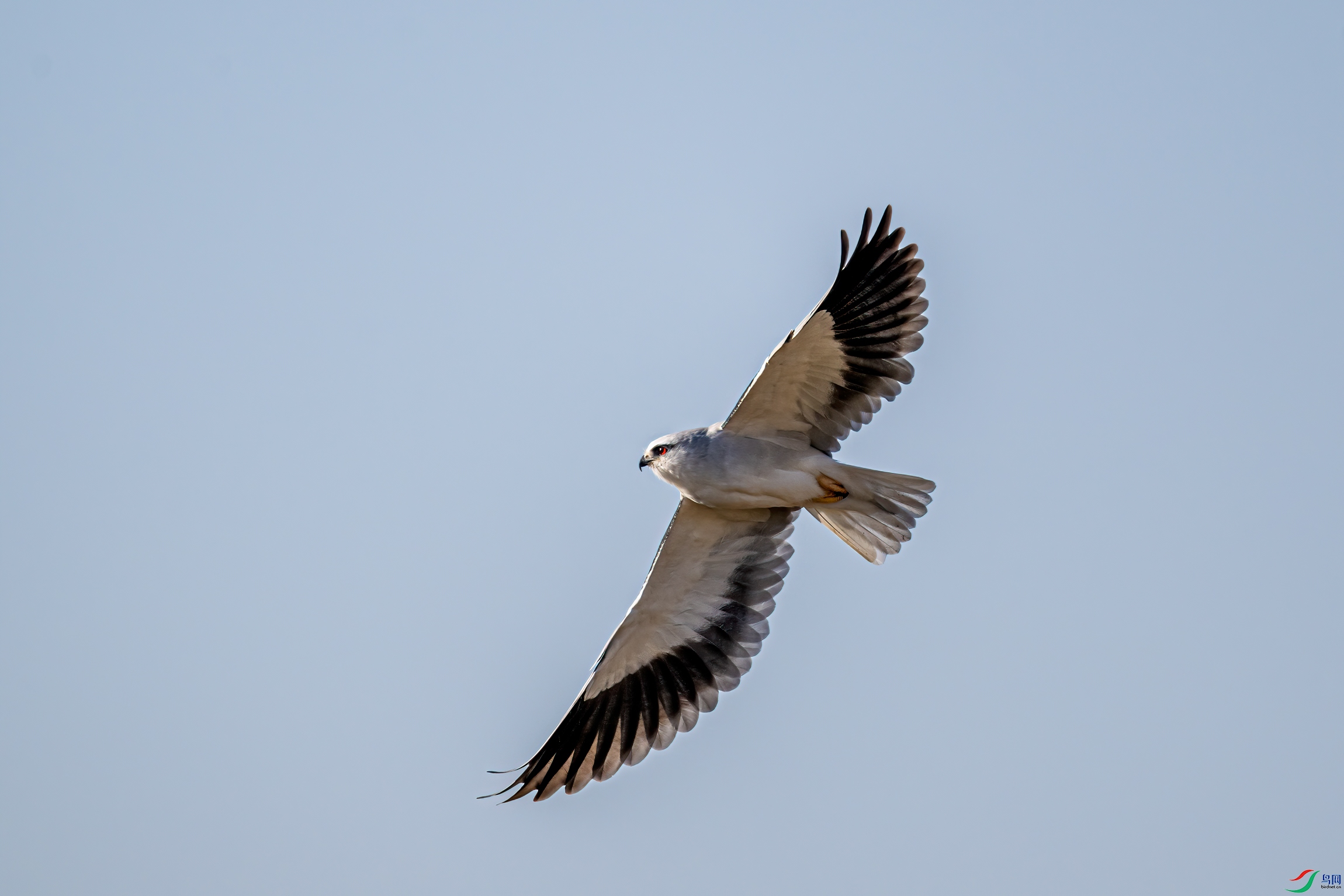 DSC_3087-11.jpg