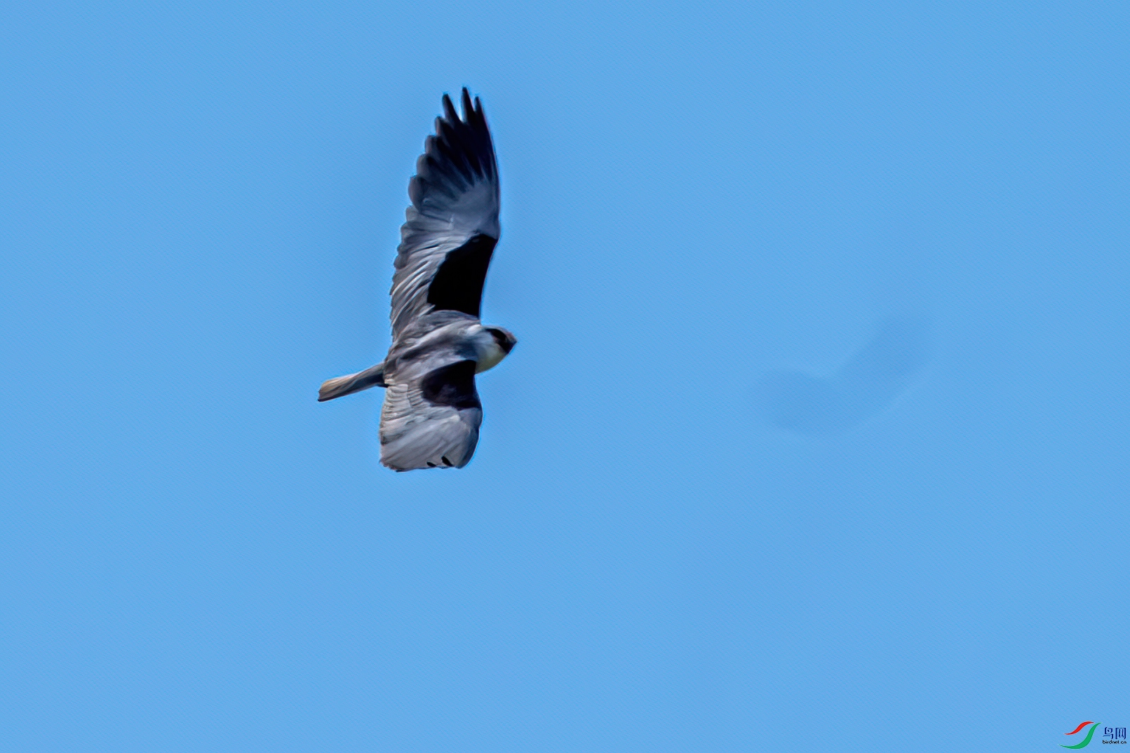 DSC_8102.jpg